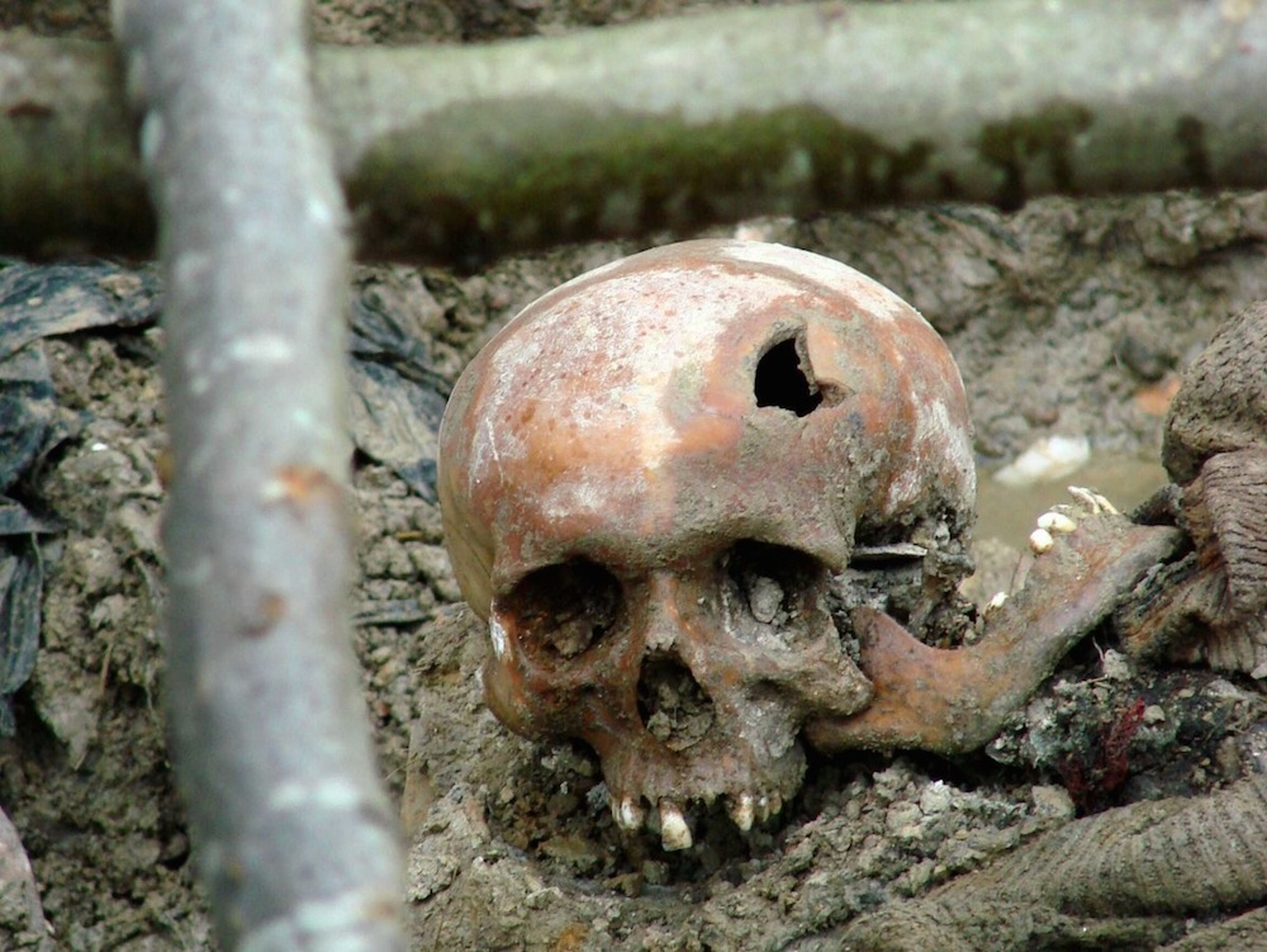 Restos humanos descubiertos cerca de Srebrenica en 1997.