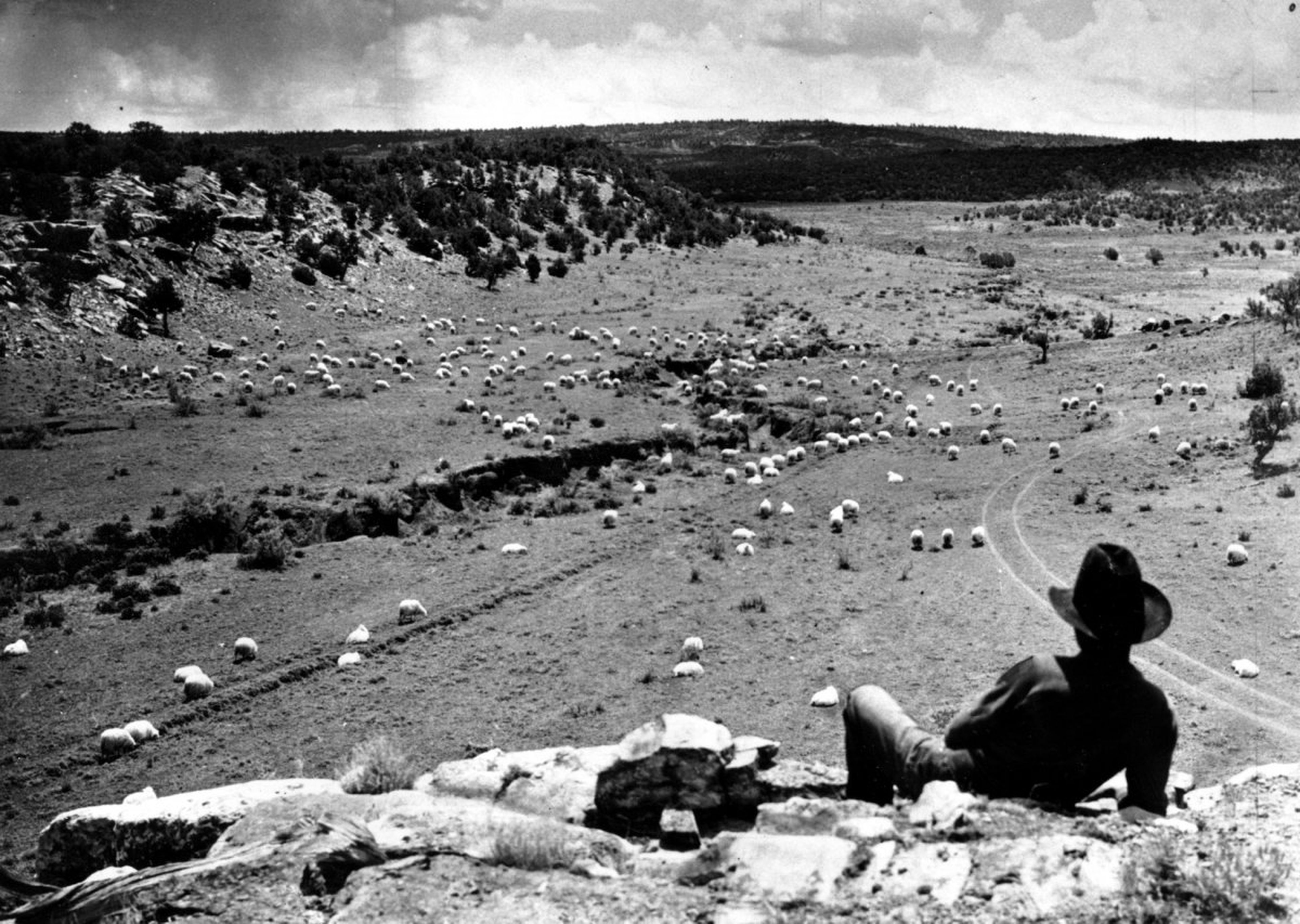 Un hombre navajo contempla su rebaño de ovejas en la reserva navajo en 1940, justo antes de la entrada de los Estados Unidos en la Segunda Guerra Mundial.