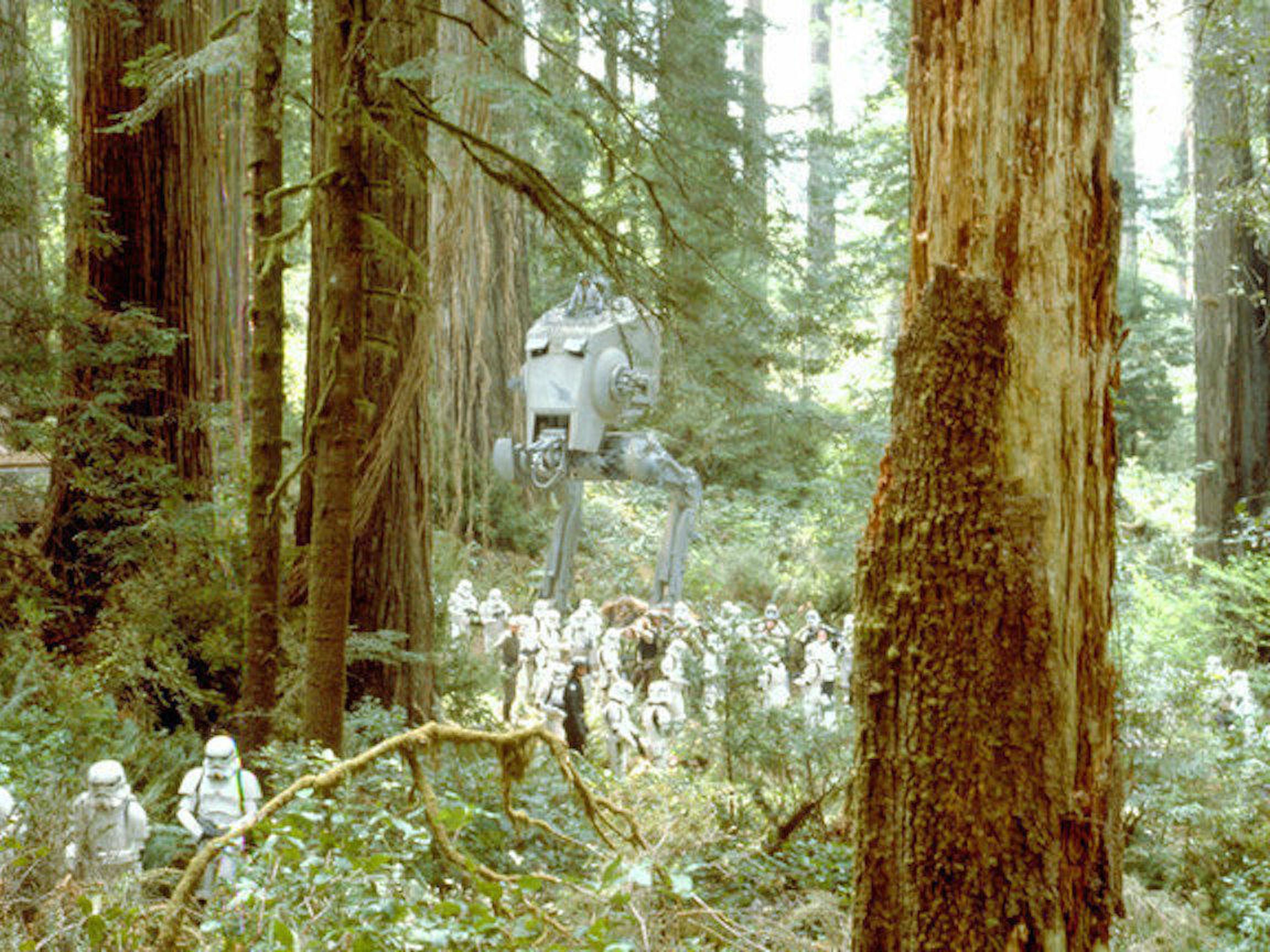 STAR WAR VIAJES-Redwood California