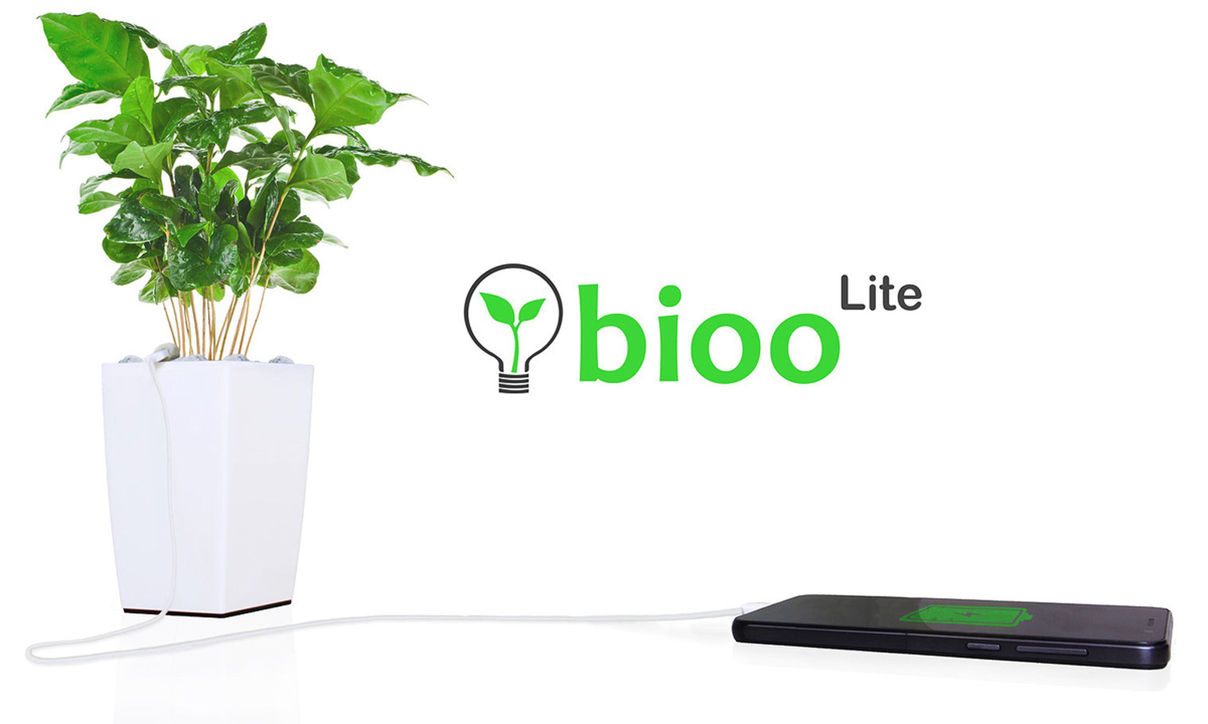 Bioo startup