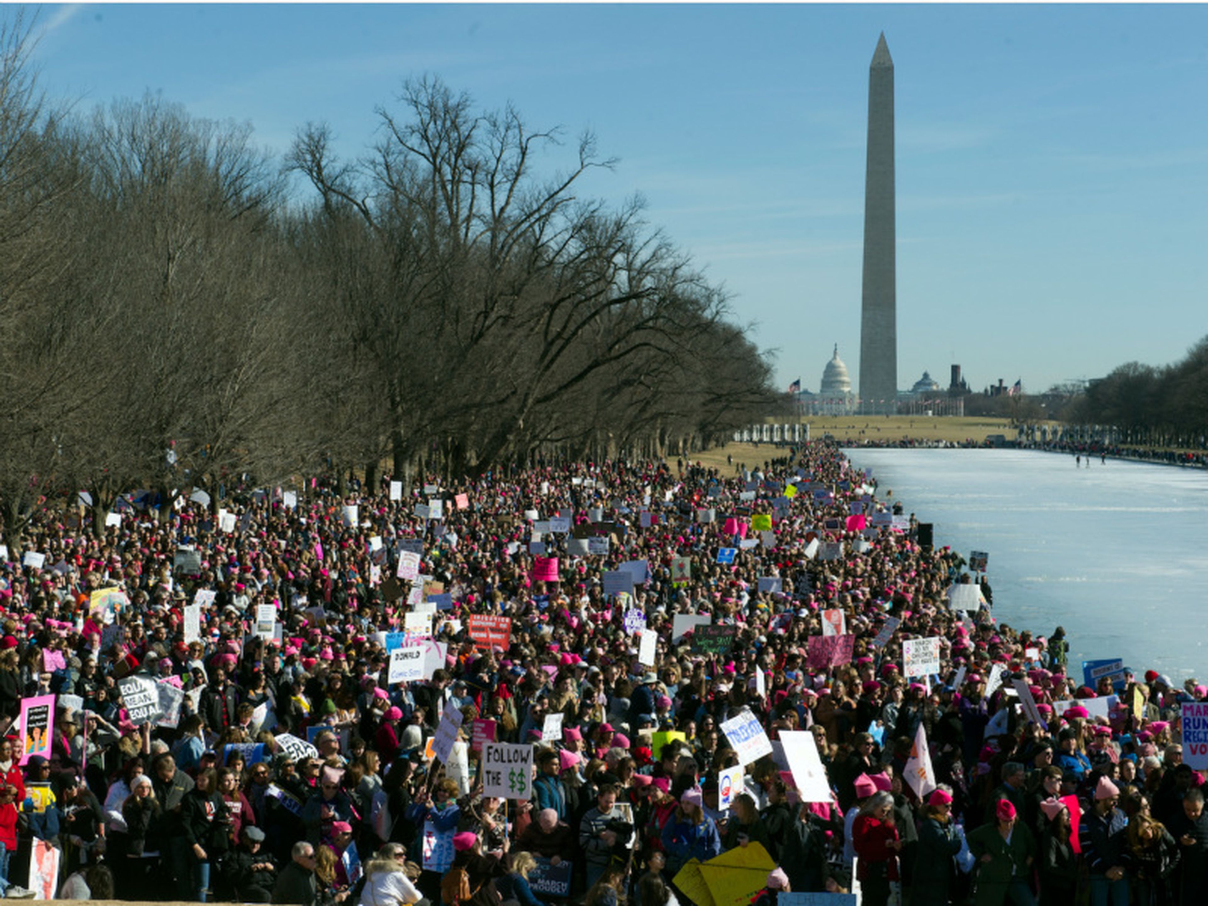 Manifestantes en Washington, DC, EEUU.