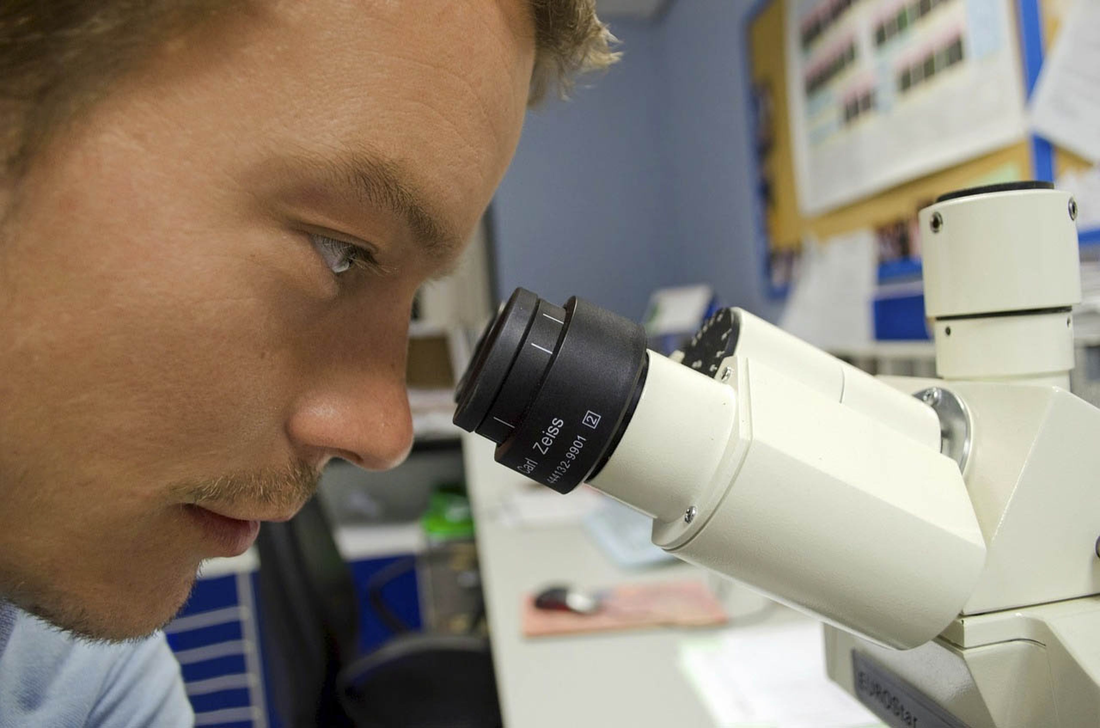Científico en el microscopio