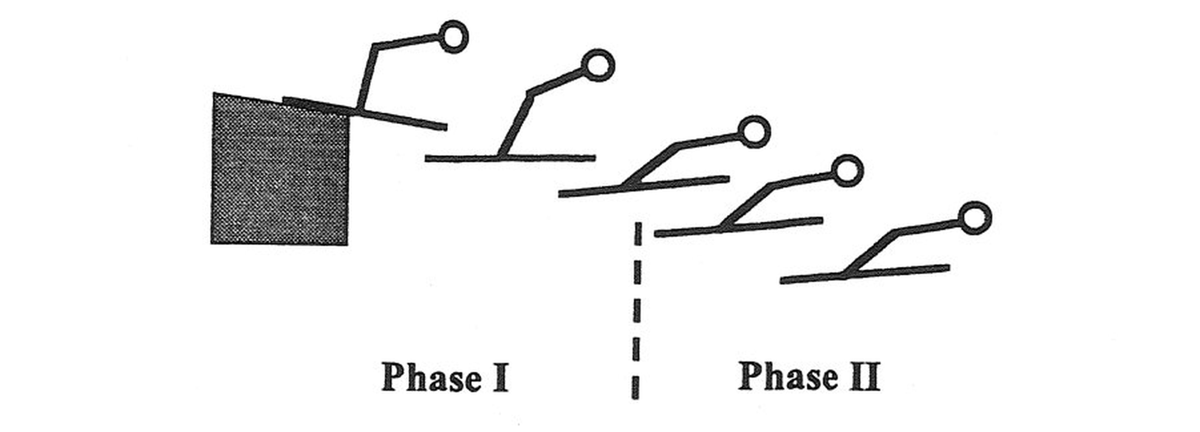 Hay dos fases durante el vuelo en el salto de esquí. En la Primera Fase, el cuerpo del saltador adopta una posición rápidamente. En la Segunda Fase, el saltador completa la posición final creando la figura en "V".