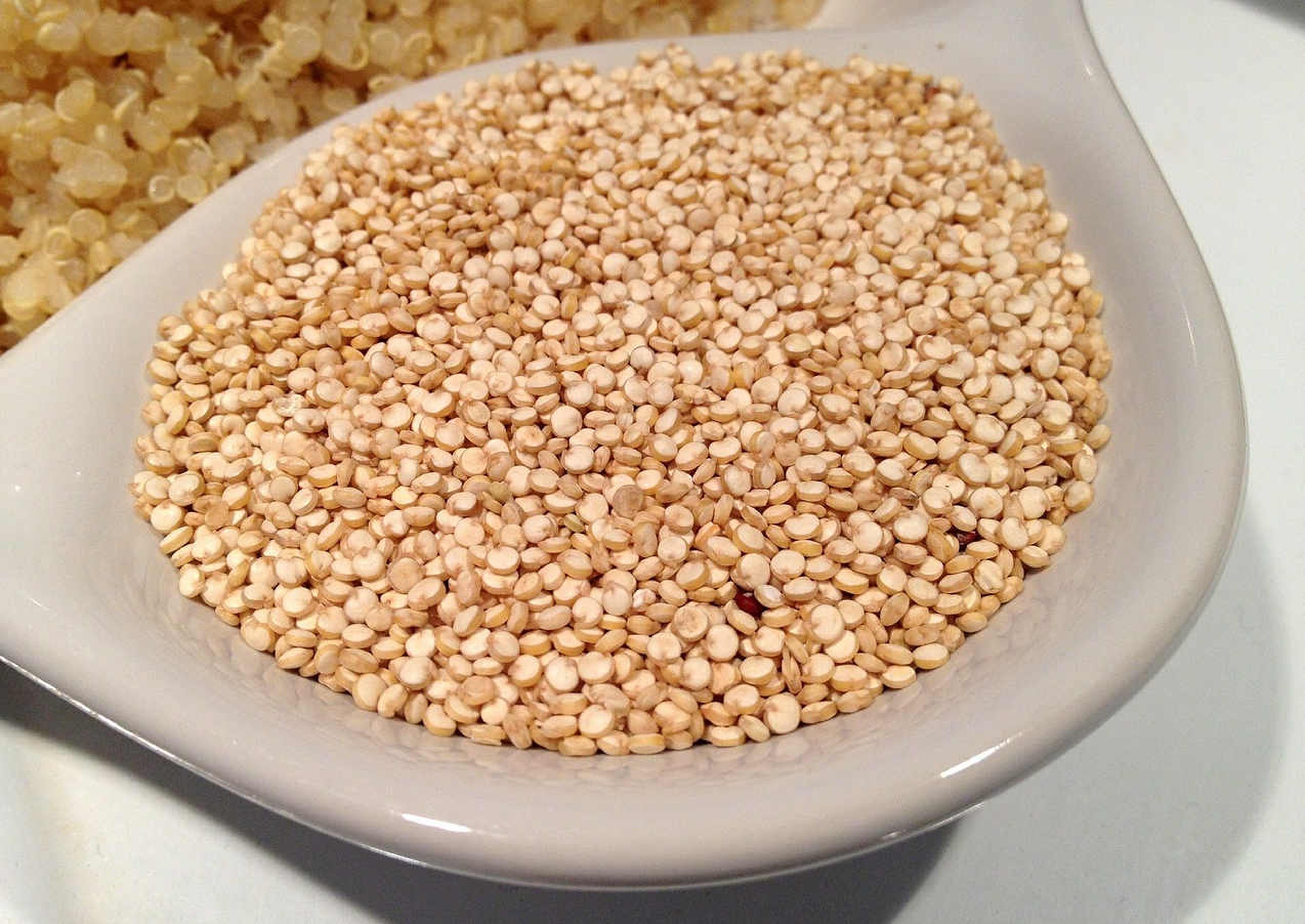 Granos de quinoa en un  recipiente