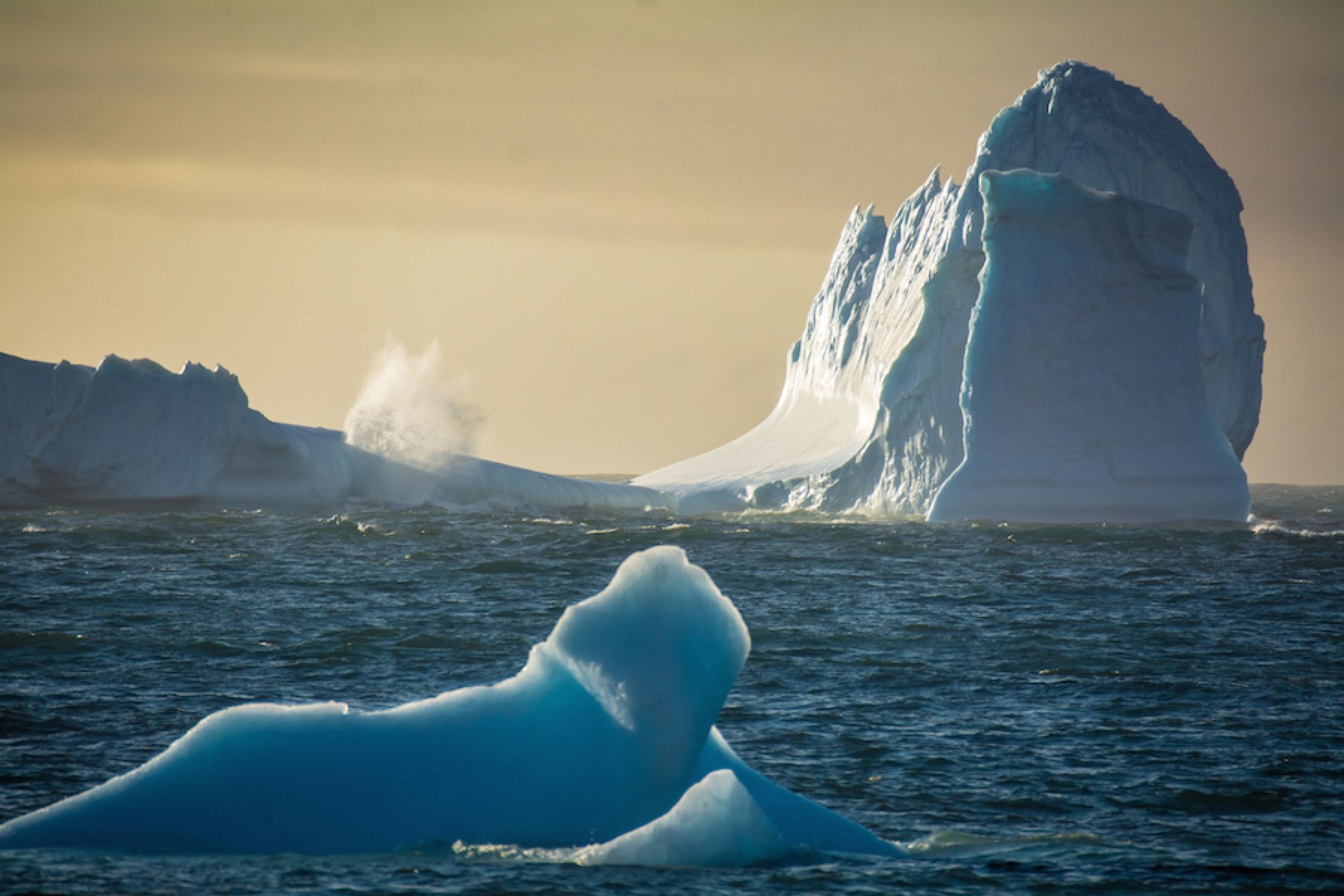 récord de temperatura febrero antártida