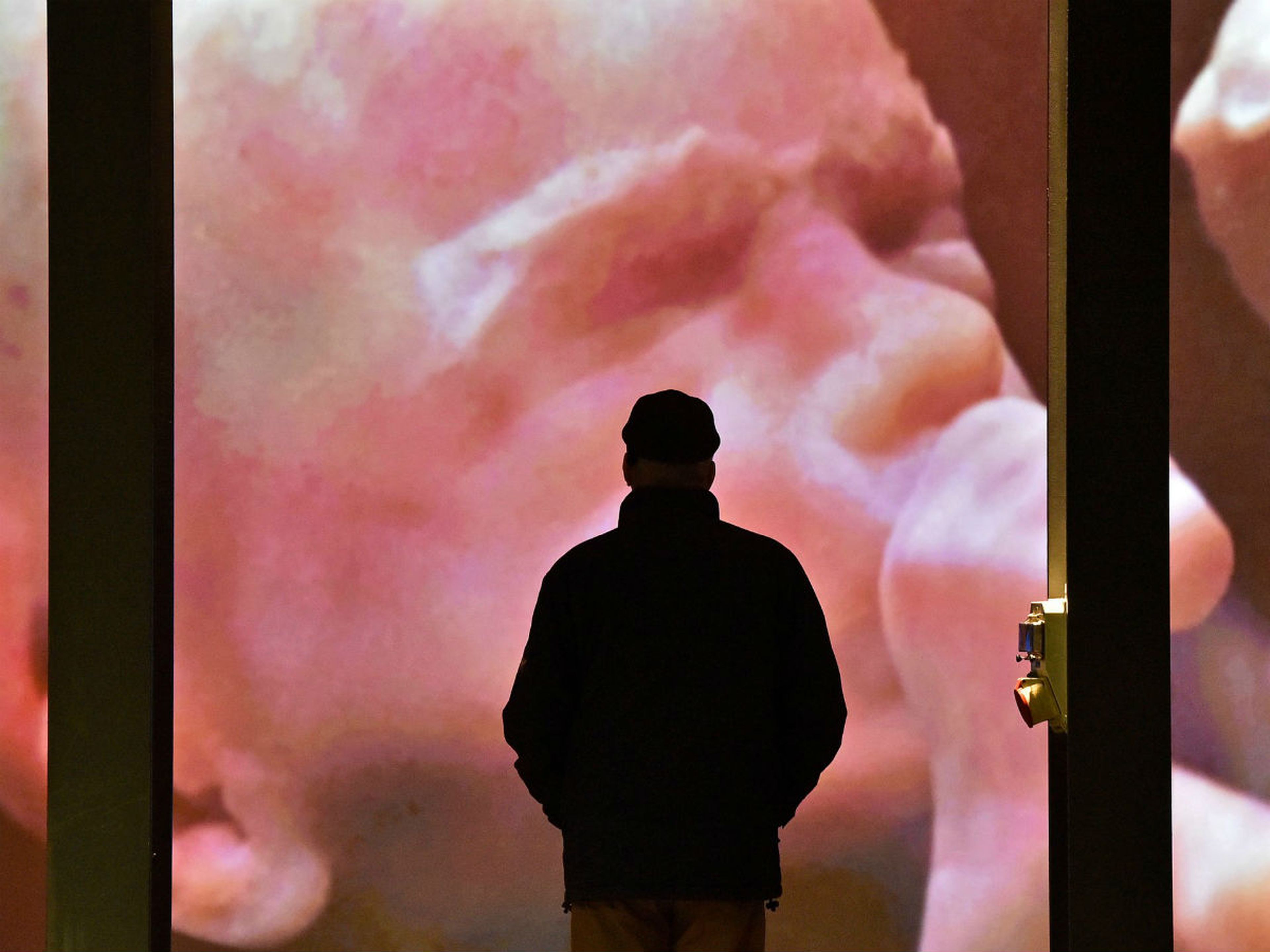 Una persona observa un vídeo de un embrión humano.