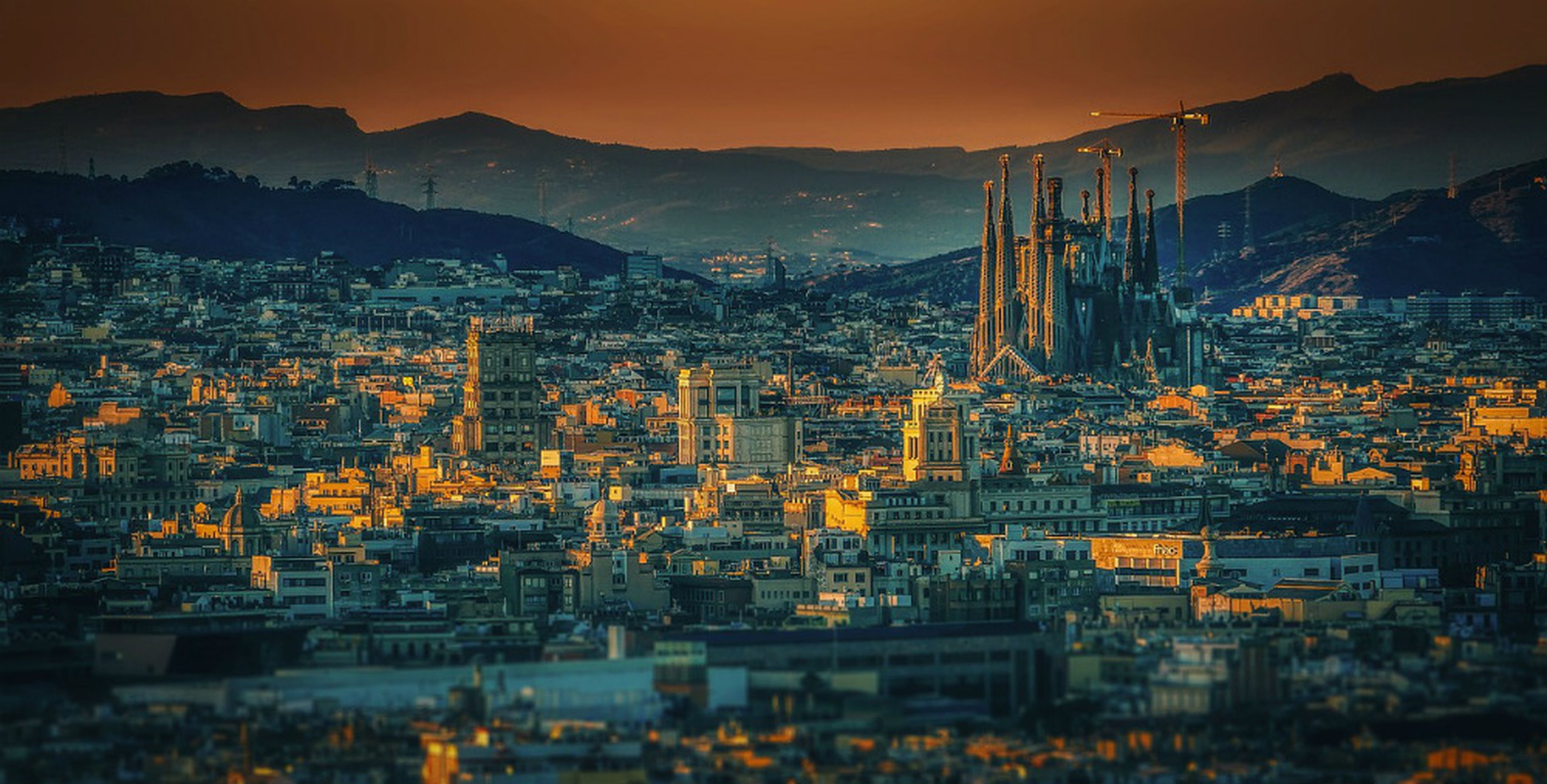 Barcelona, con 83 empresas por cada 1.000 habitantes, cuenta con la mayor concentración.