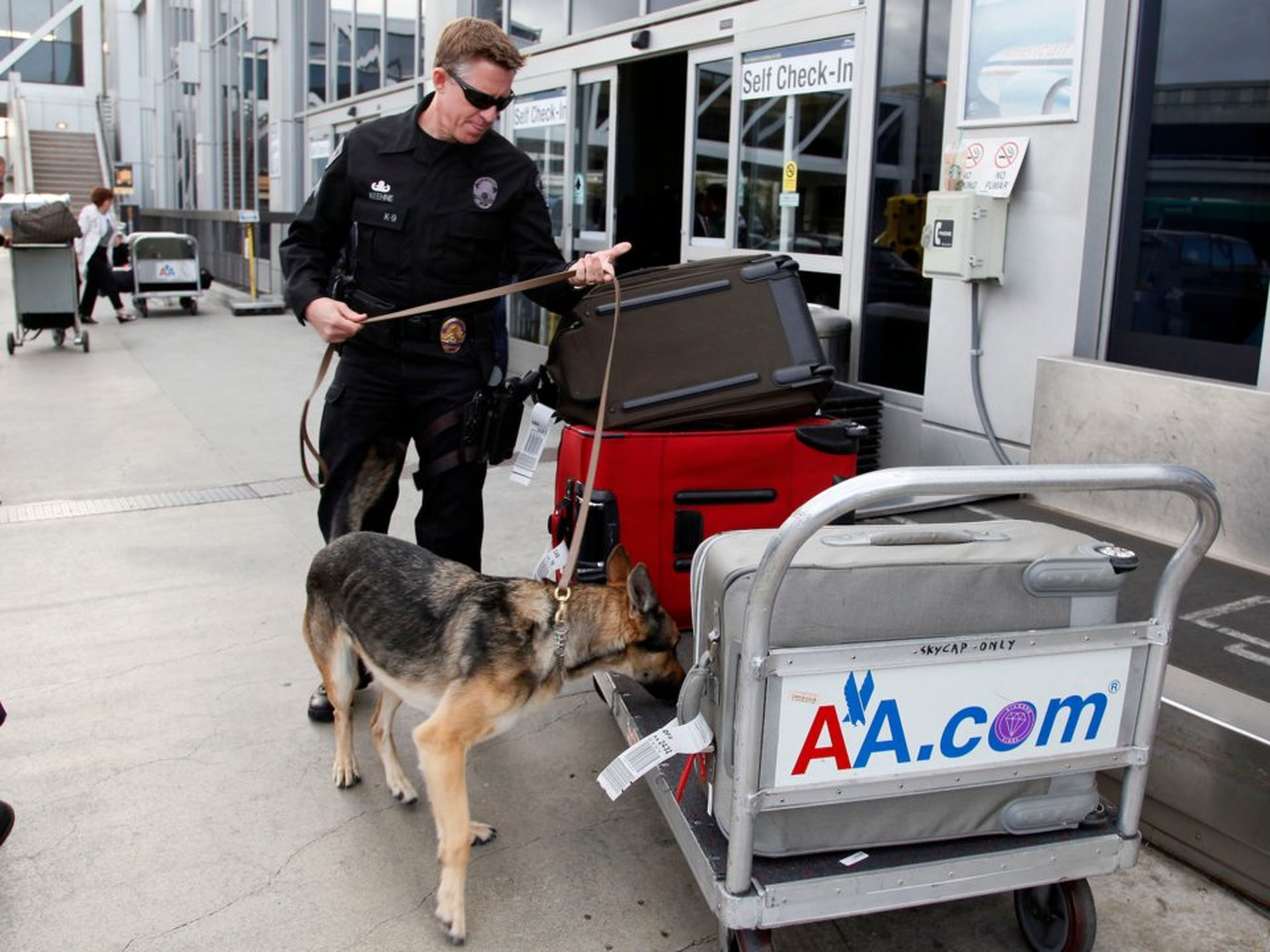 perro policia registrando aeropuerto