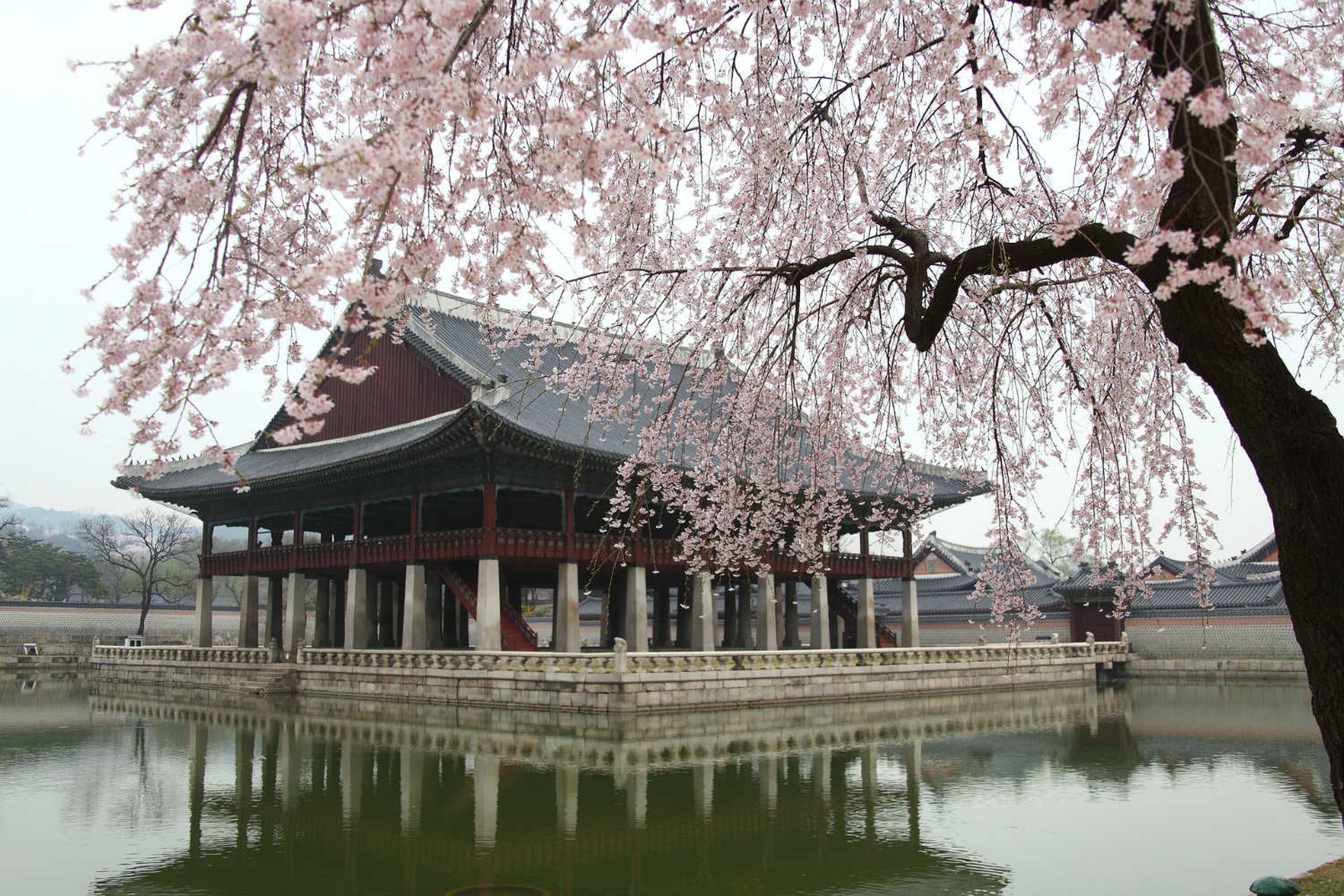 Templo asiático en Seúl