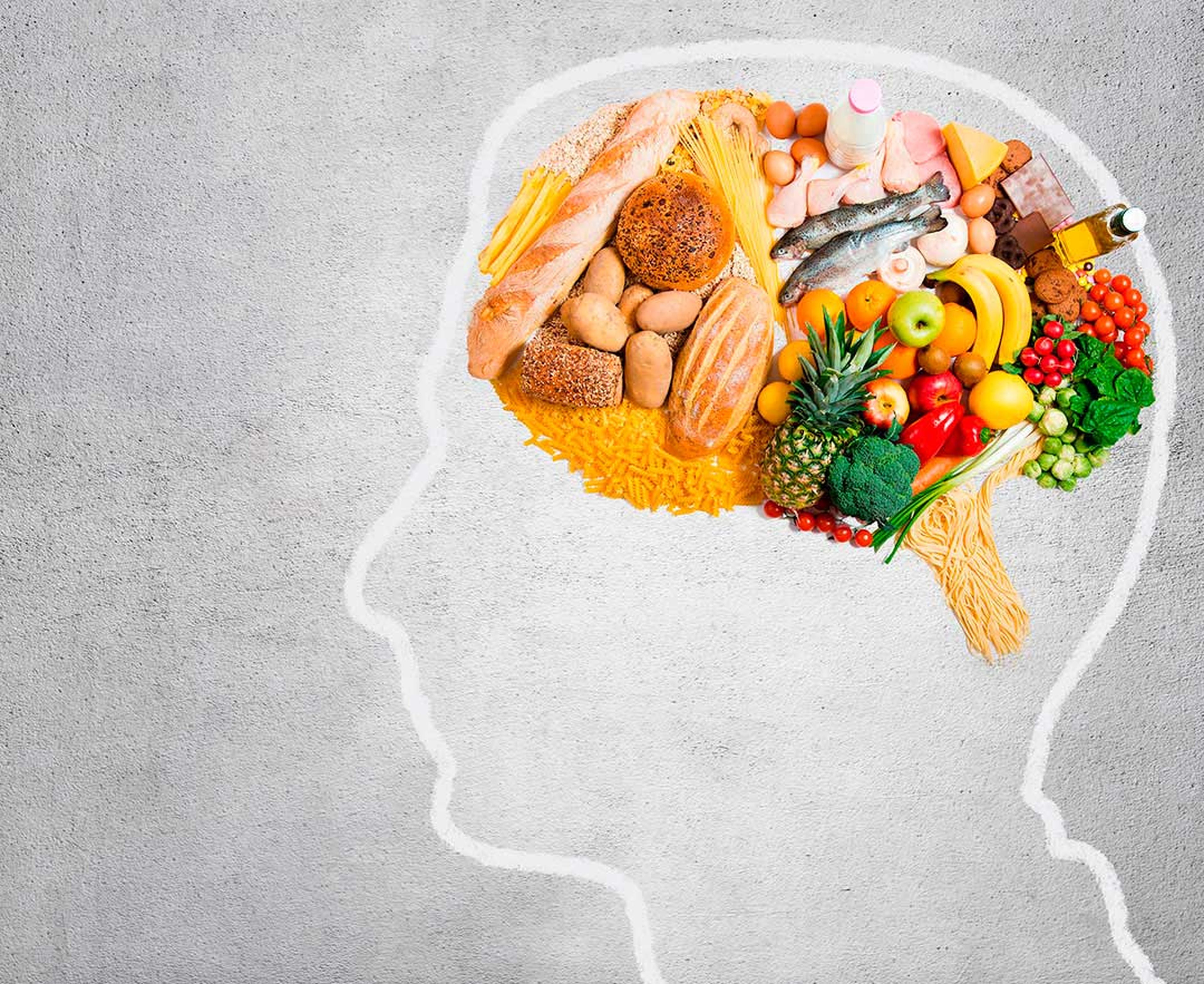 Cerebro comida