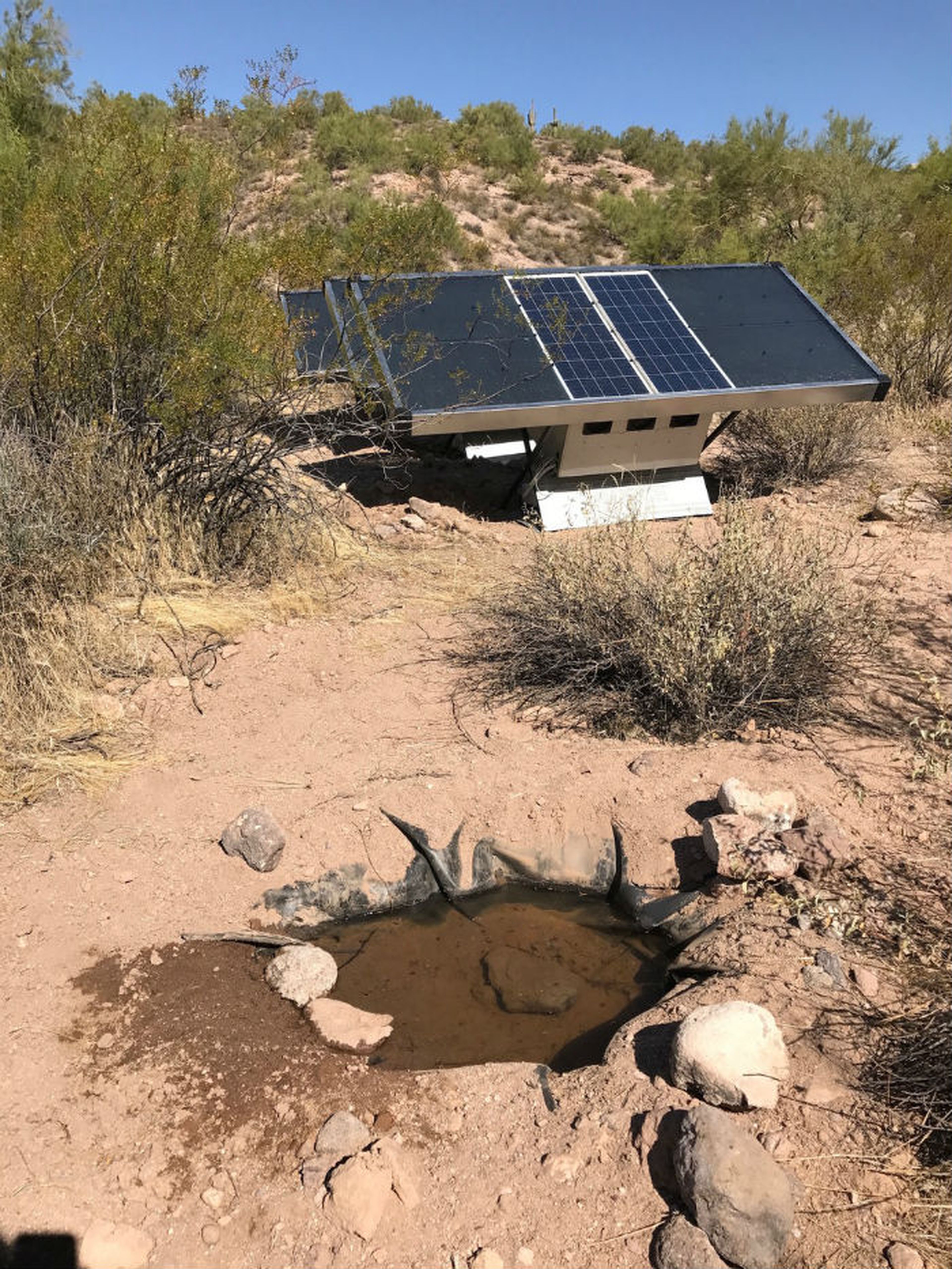 Un módulo en el desierto de Arizona para abastecer a animales