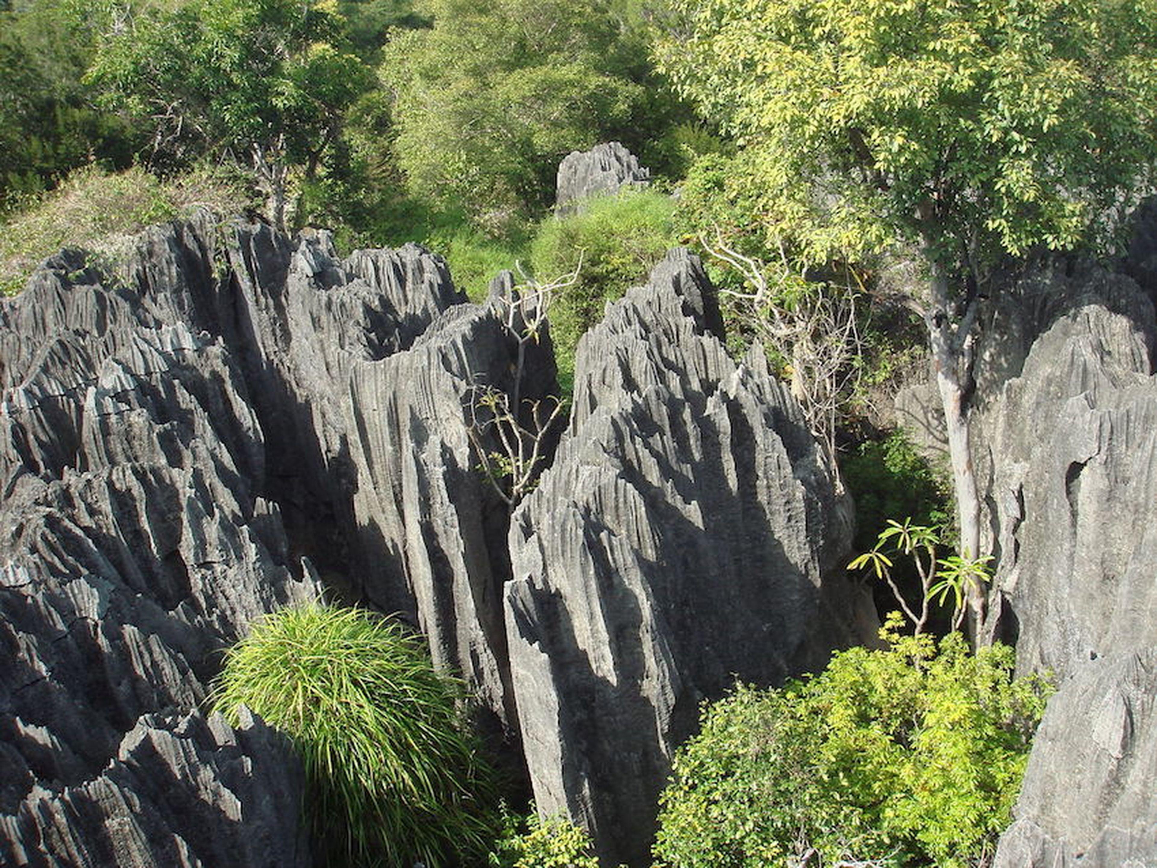Bosque de piedra en Reserva nacional de Tsingy