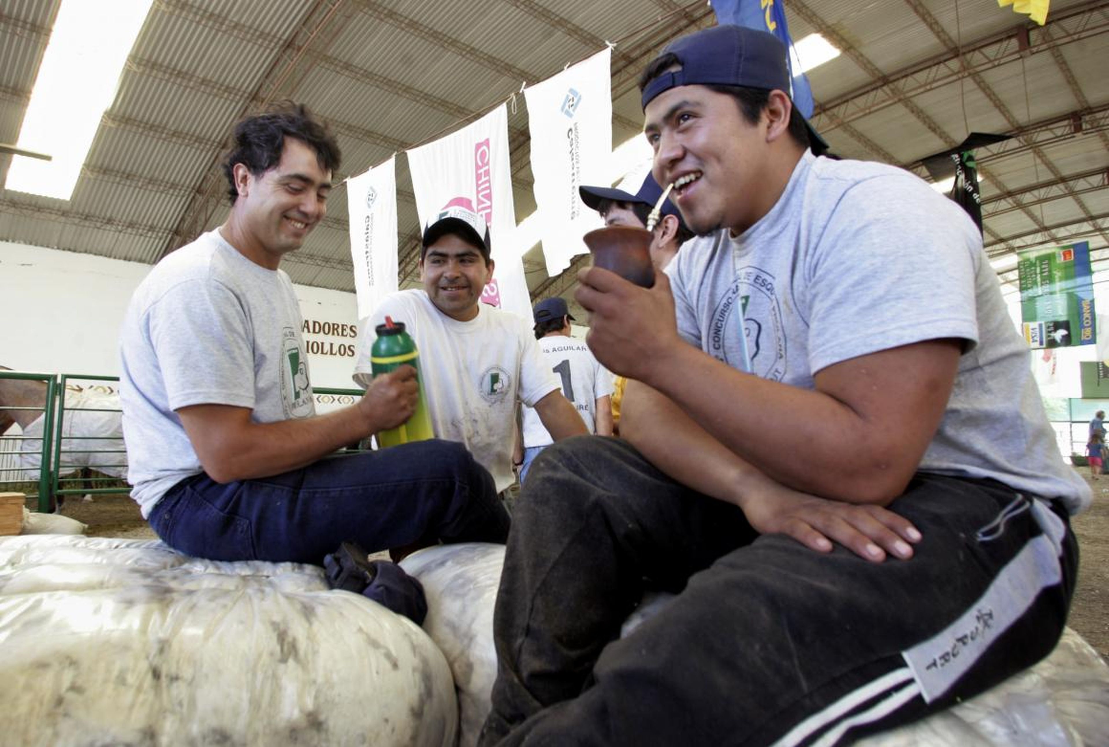 Argentine shearers Gaston Morales (R), Lazaro Pichon (C) and Alfonso Alonso drink 'mate' (herbal tea) as they sit on piles of wool.