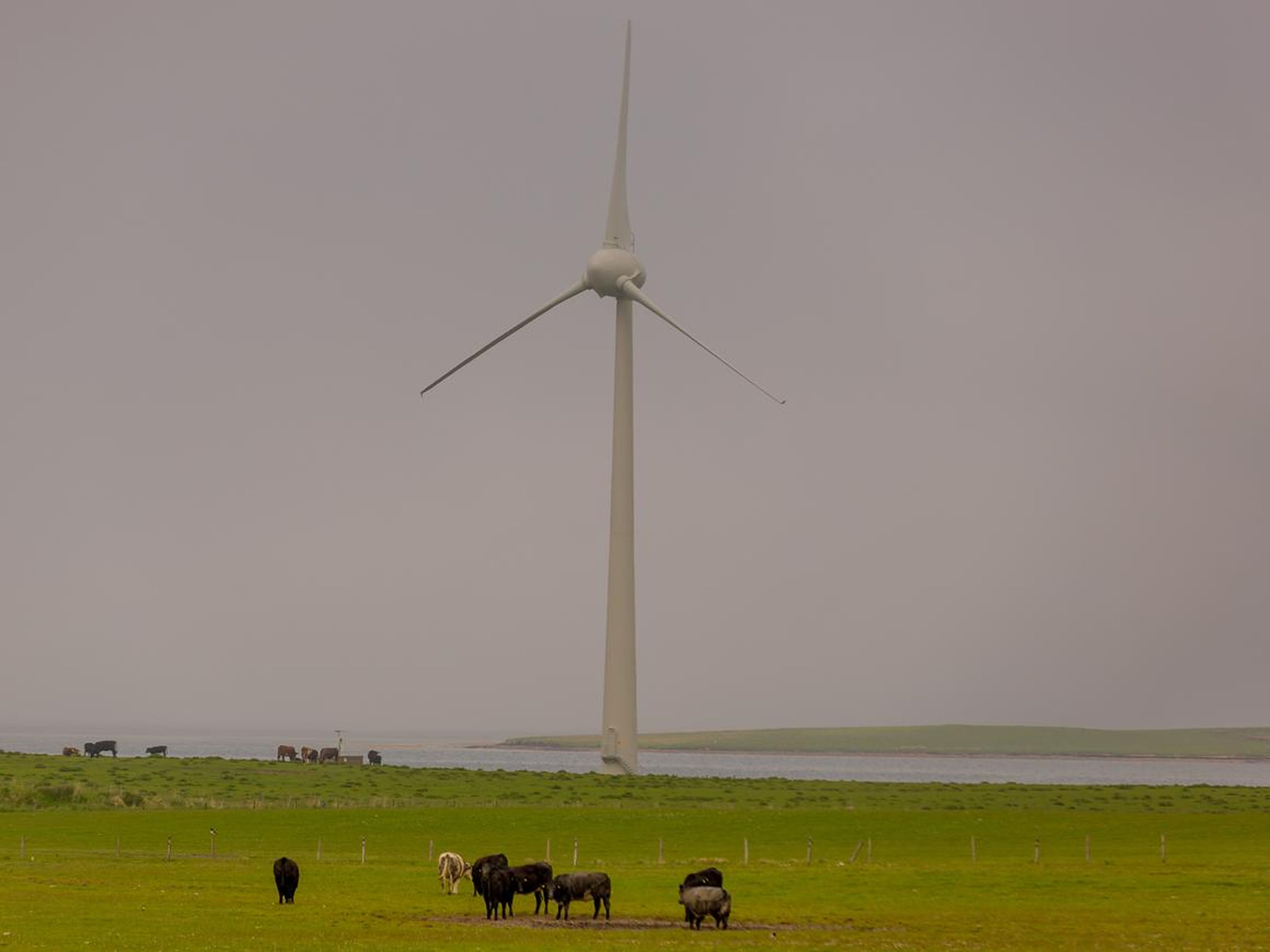 Part of the reason Microsoft chose Orkney was because the islands are a hub for renewable energy research.