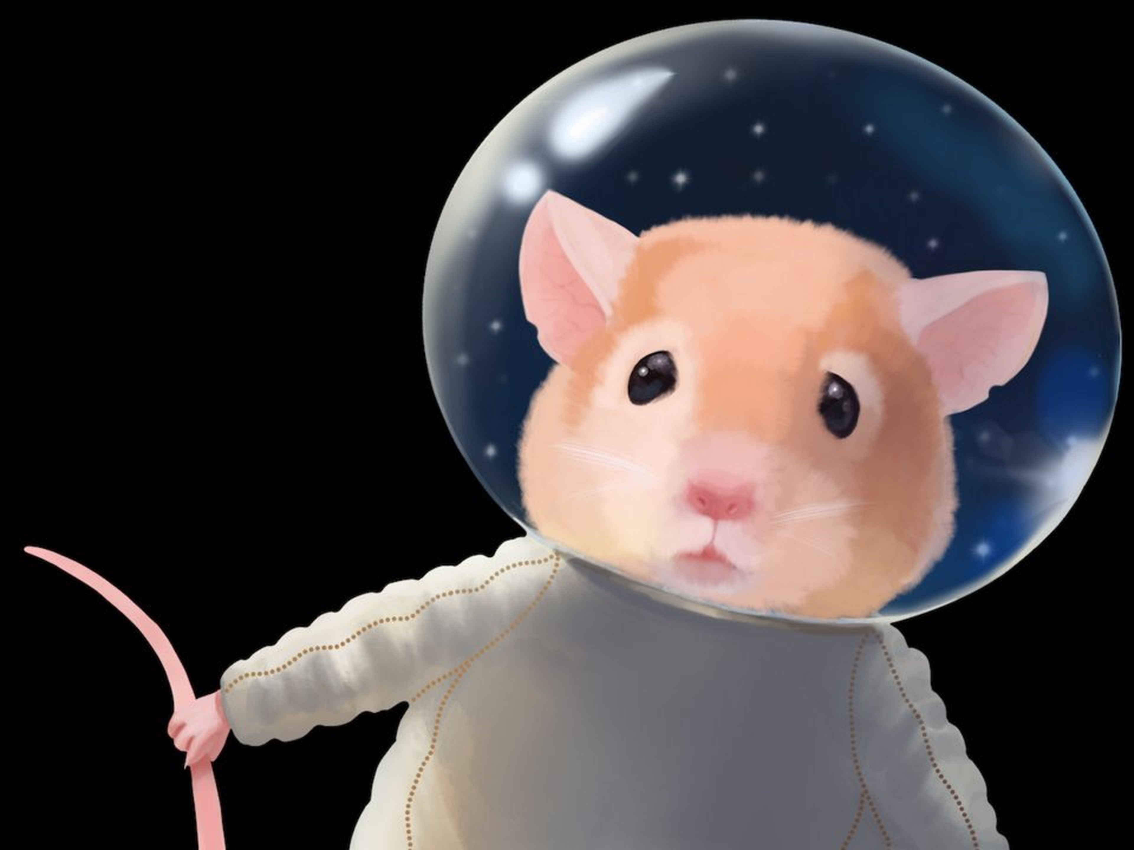 [re]Un ratón en el espacio