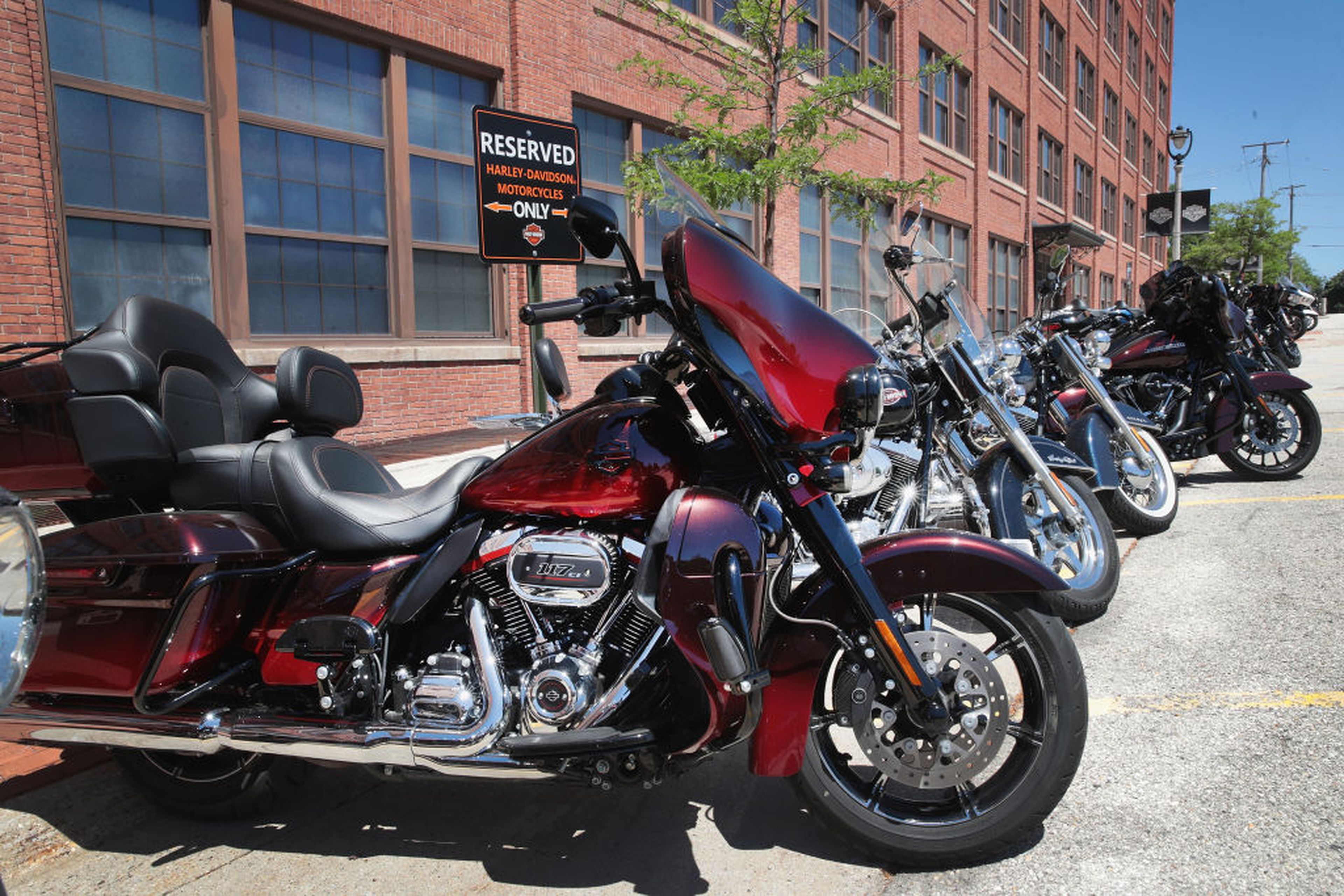Varias Harley-Davidson