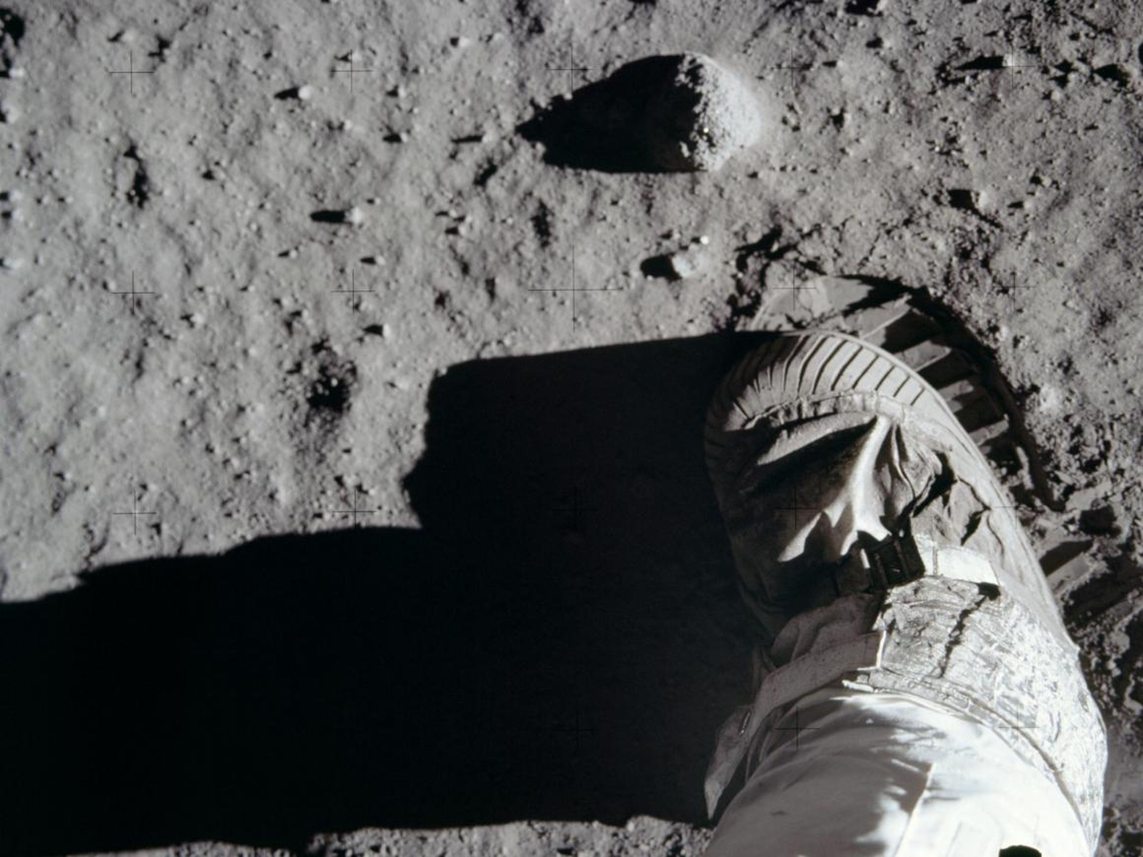 Los astronautas Neil Armstrong y Buzz Aldrin aterrizaron en la superficie lunar el 20 de julio de 1969.