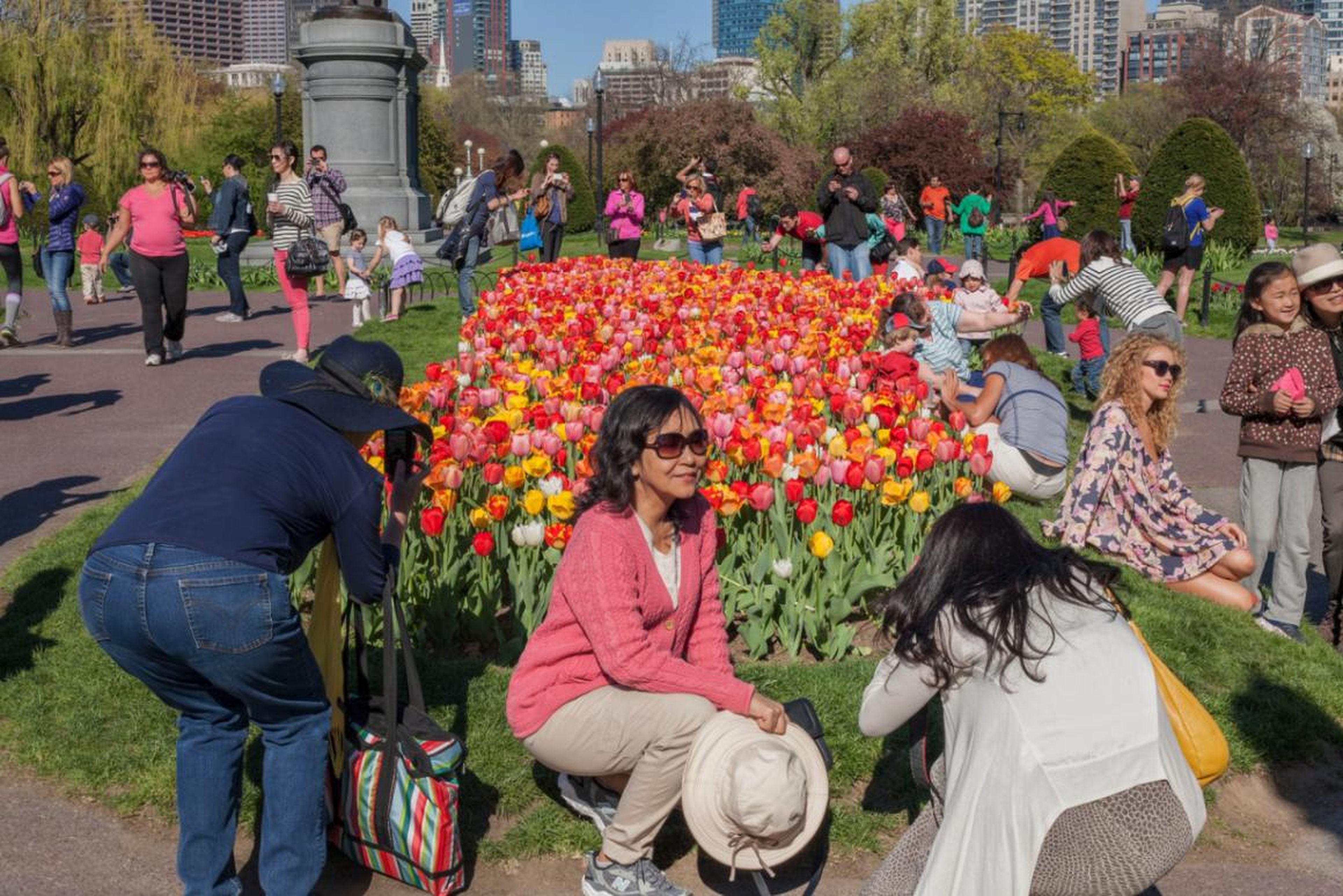 "Cama de tulipanes, jardín público de Boston"