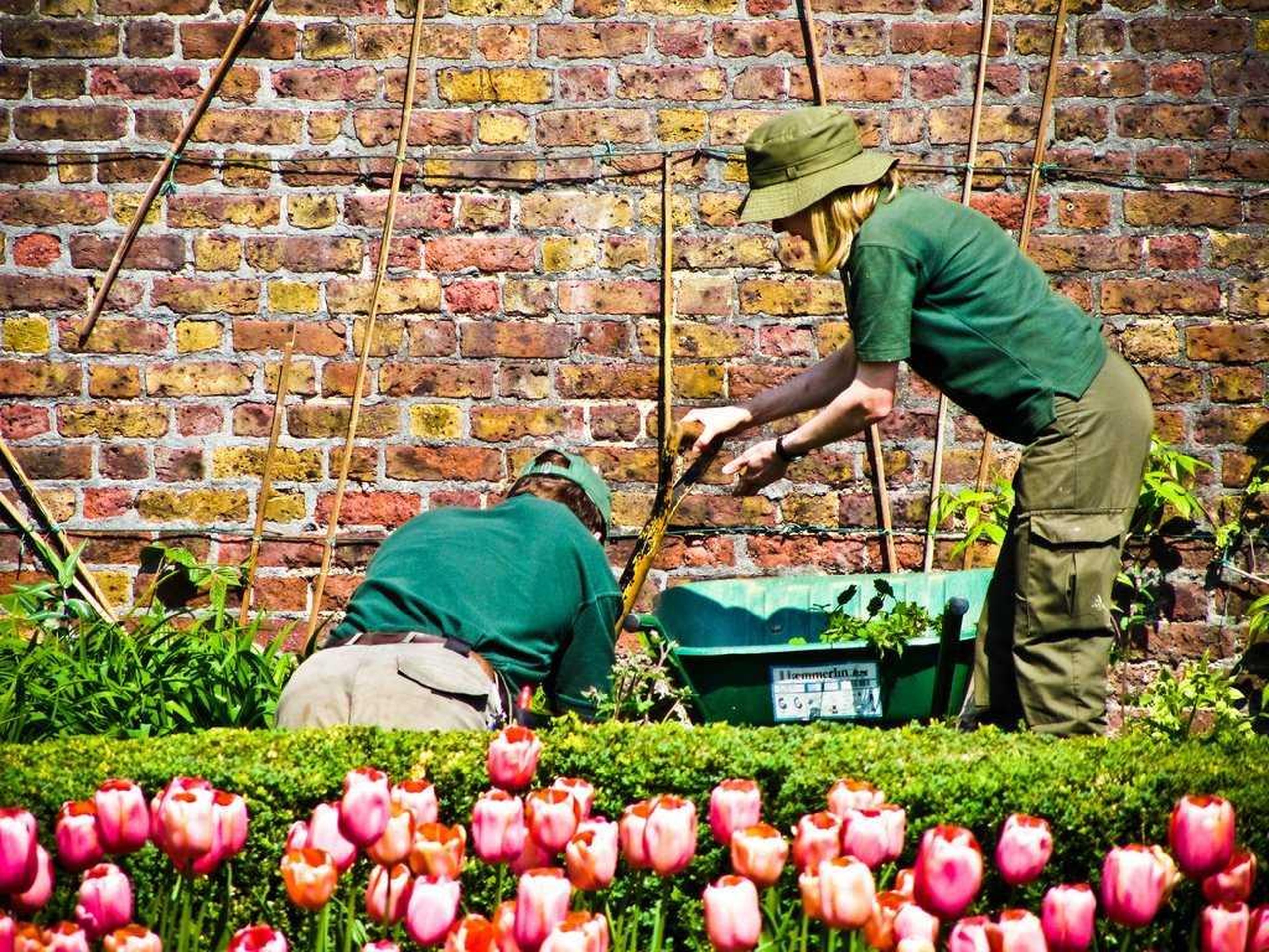 Jardineros cuidando plantas