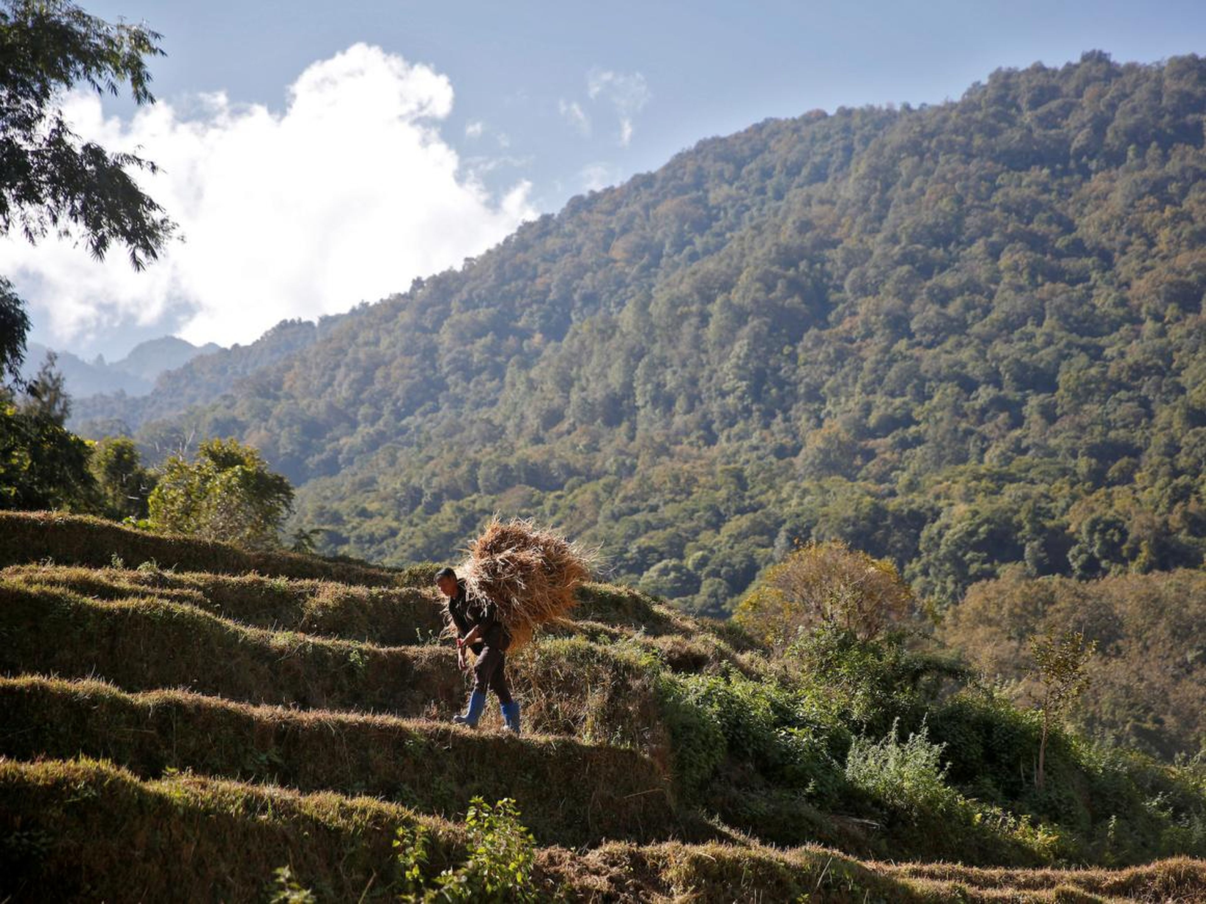 It's a big change for Bhutan, whose $2.2 billion economy is largely agricultural.
