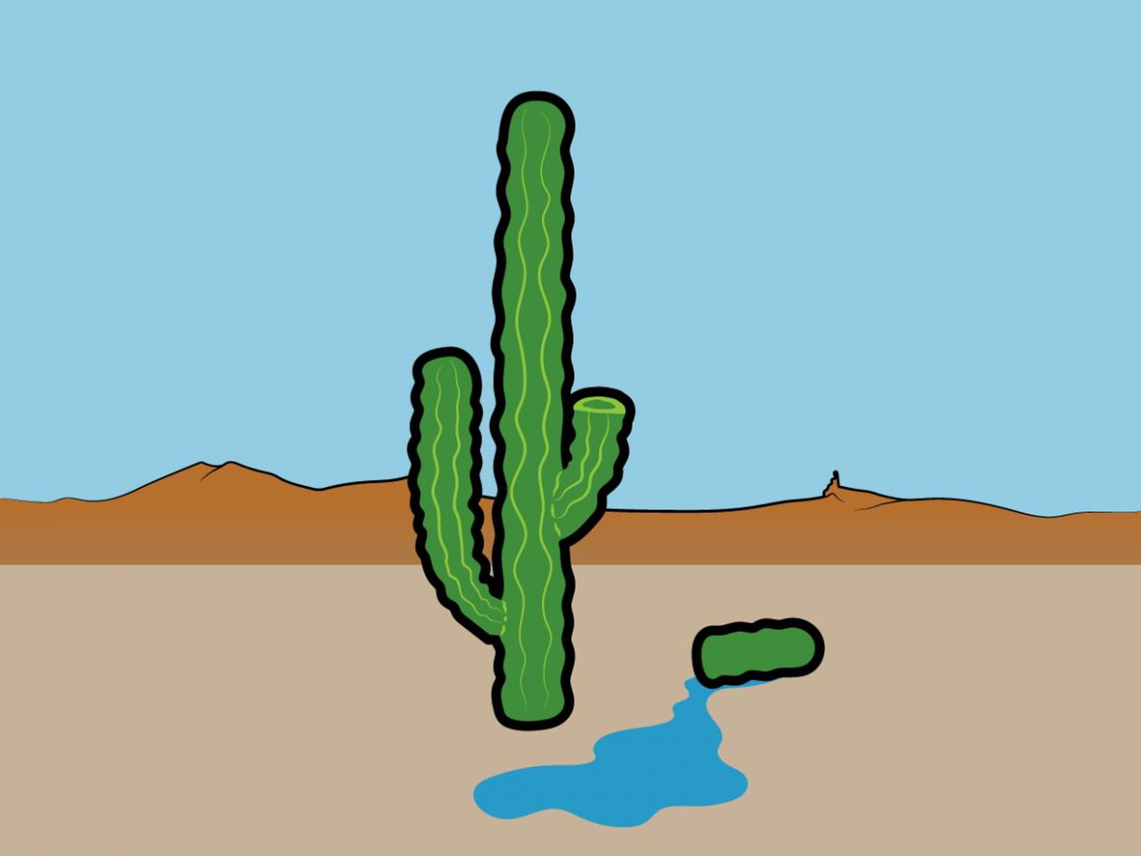 Mito: El líquido de un cactus puede salvarte de morir de sed