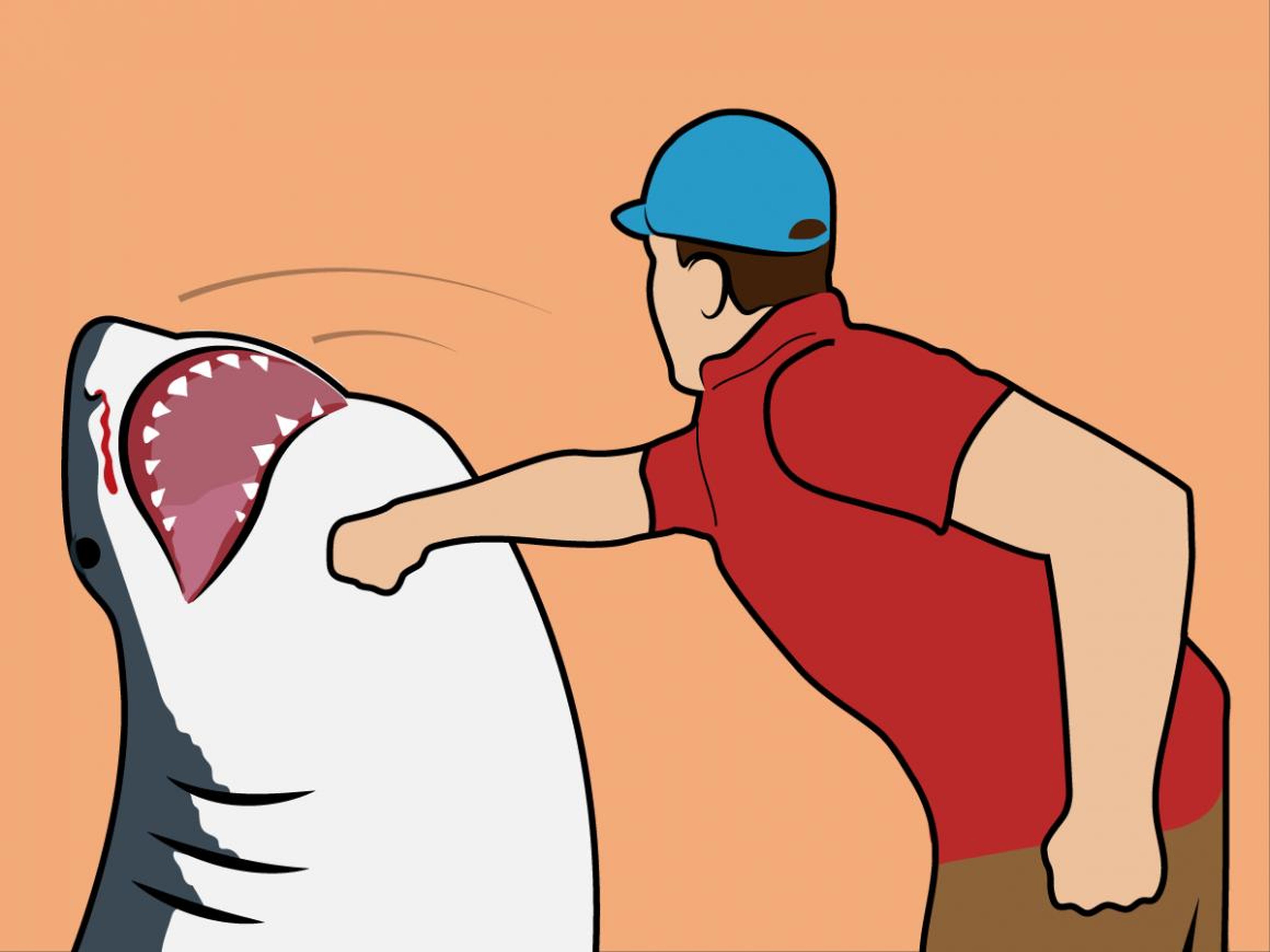 Mito: si un tiburón te ataca, golpéale en la nariz