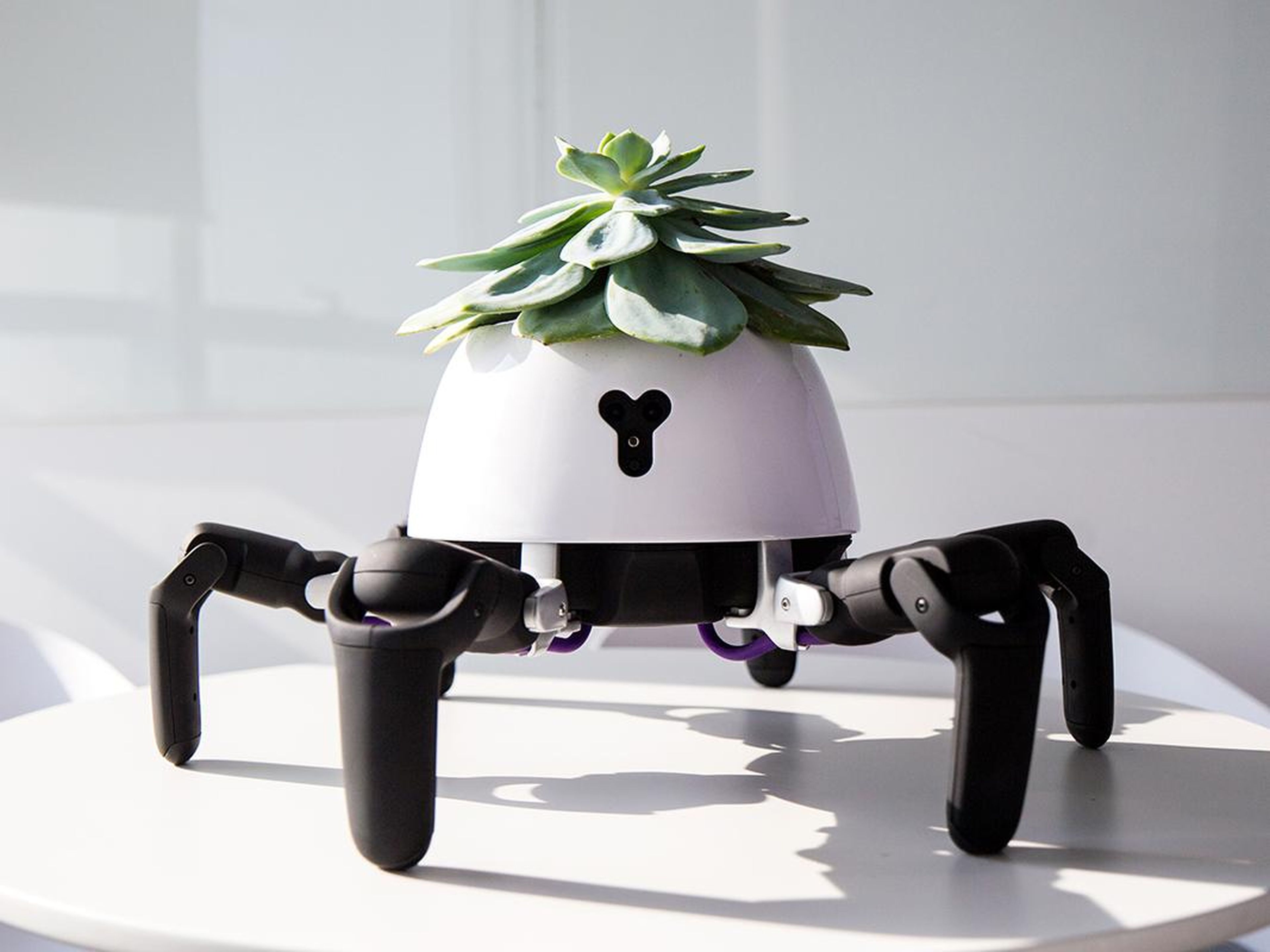 A robotics developer modded HEXA to care for a succulent.