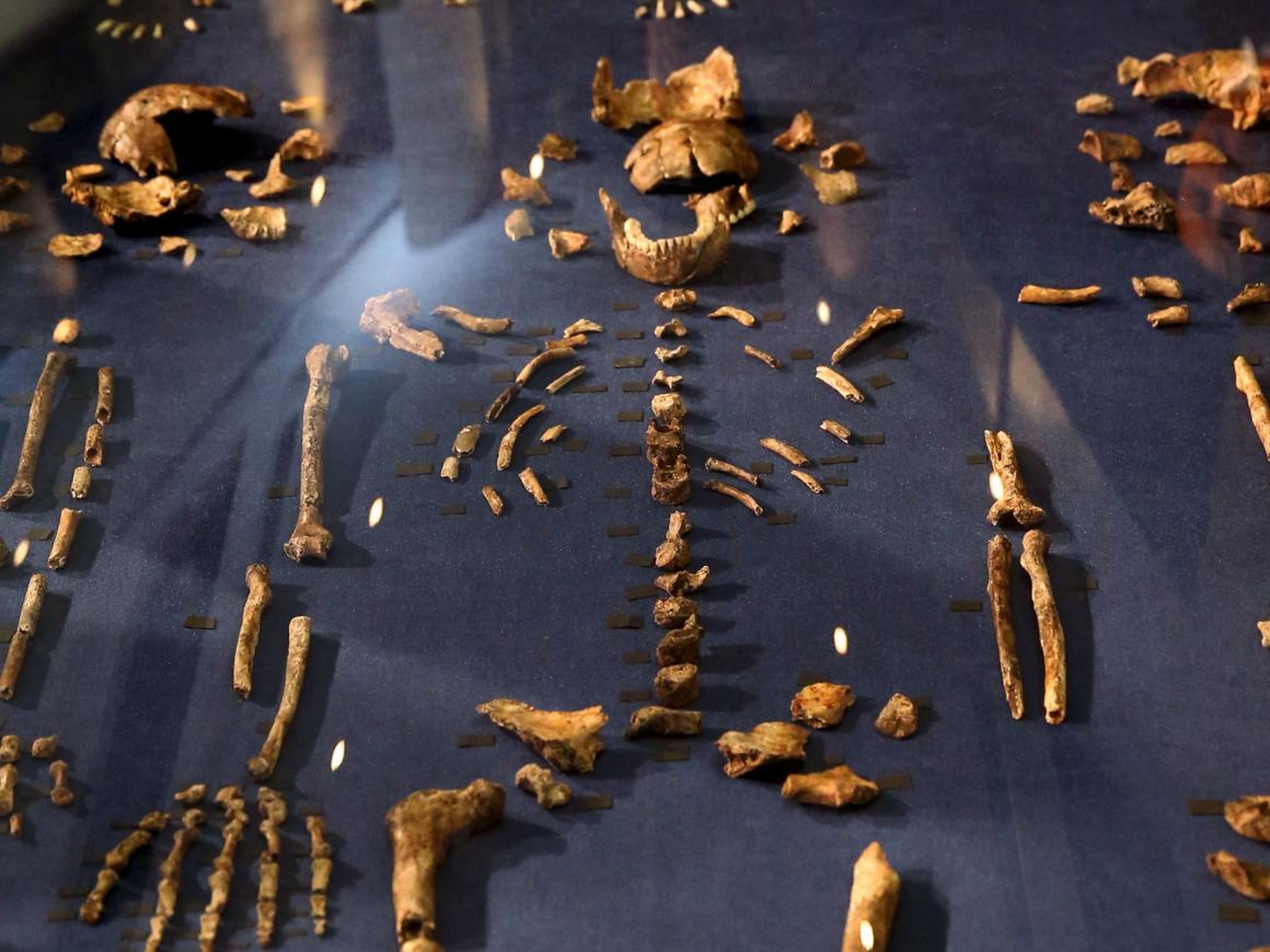 The team found thousands of <em>Homo naledi</em> bones.