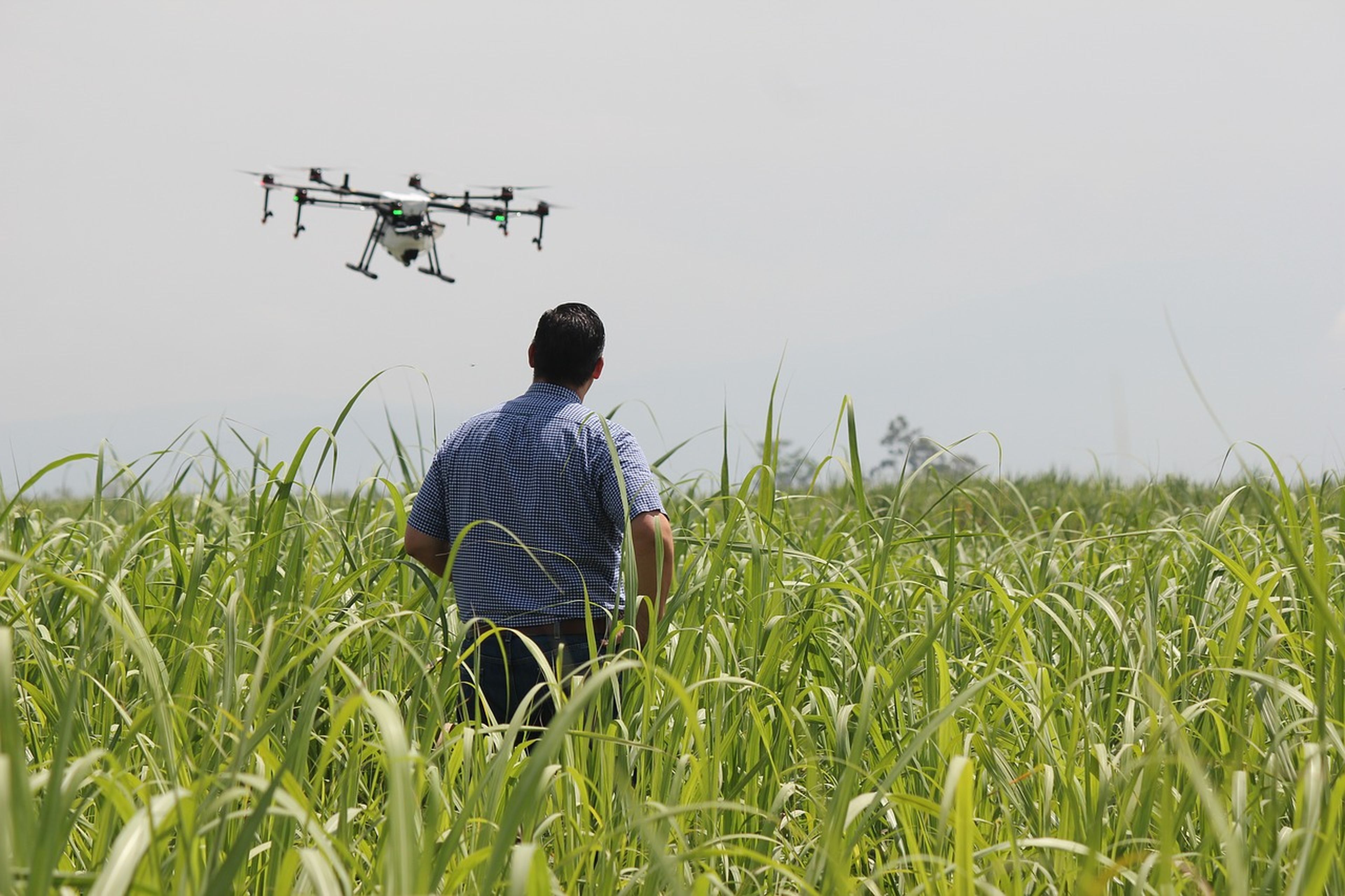 La tecnología puede utilizarse para ayudar a los agricultores a producir mejores cosechas.