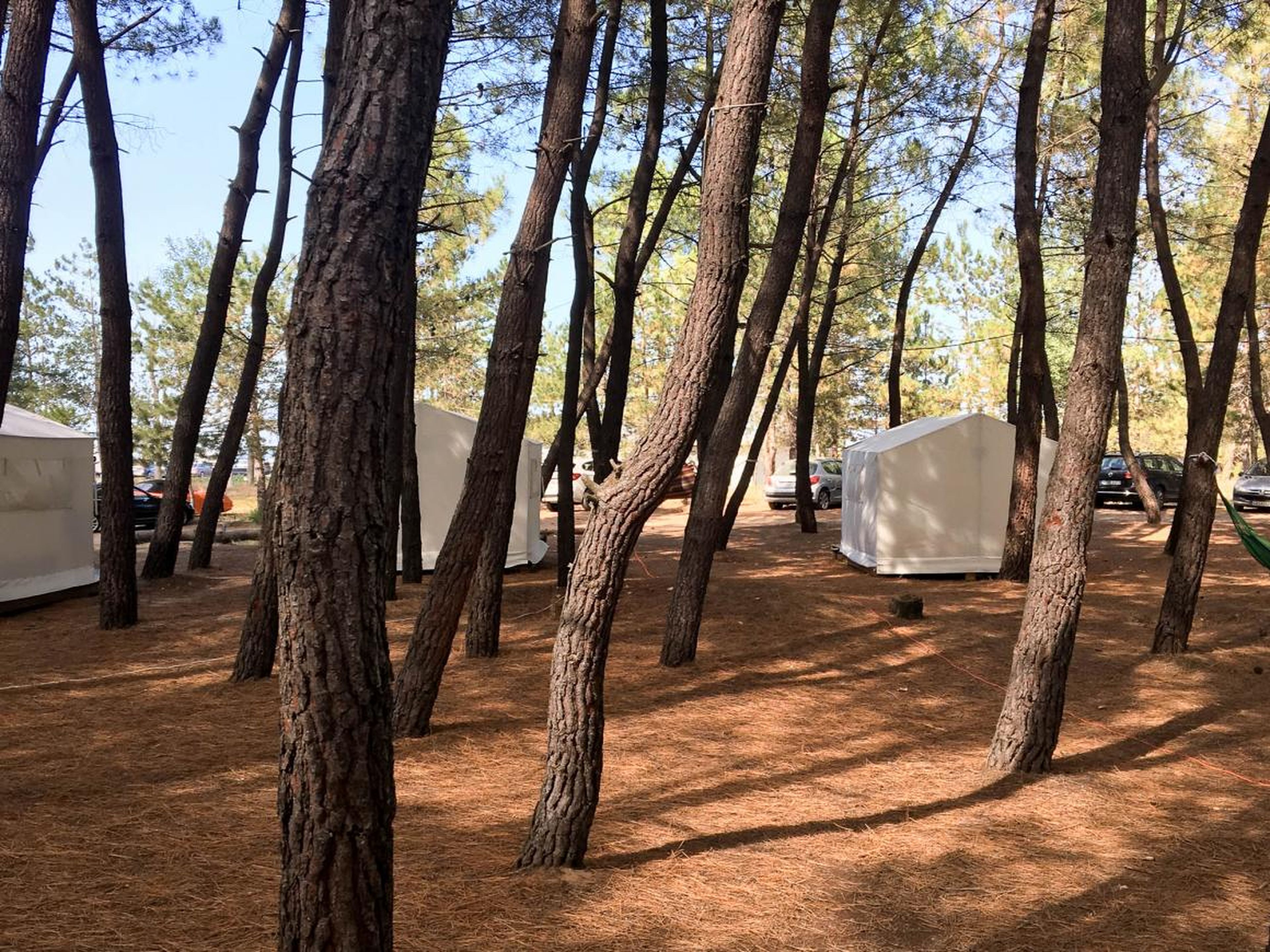 Because of zoning restrictions, there aren't really hotels on the beach. Instead, the beach is lined with campsites, RVs, trailers, and tents. It makes for one big communal party. I "glamped" in one of these tent-huts.