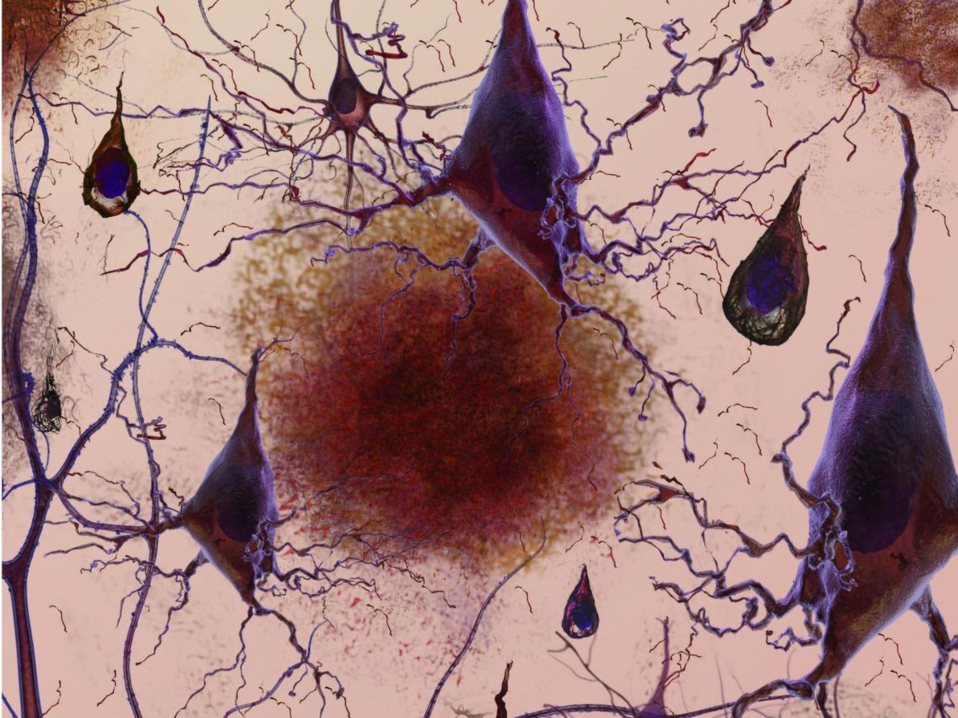 Conexiones neuronales en el cerebro.