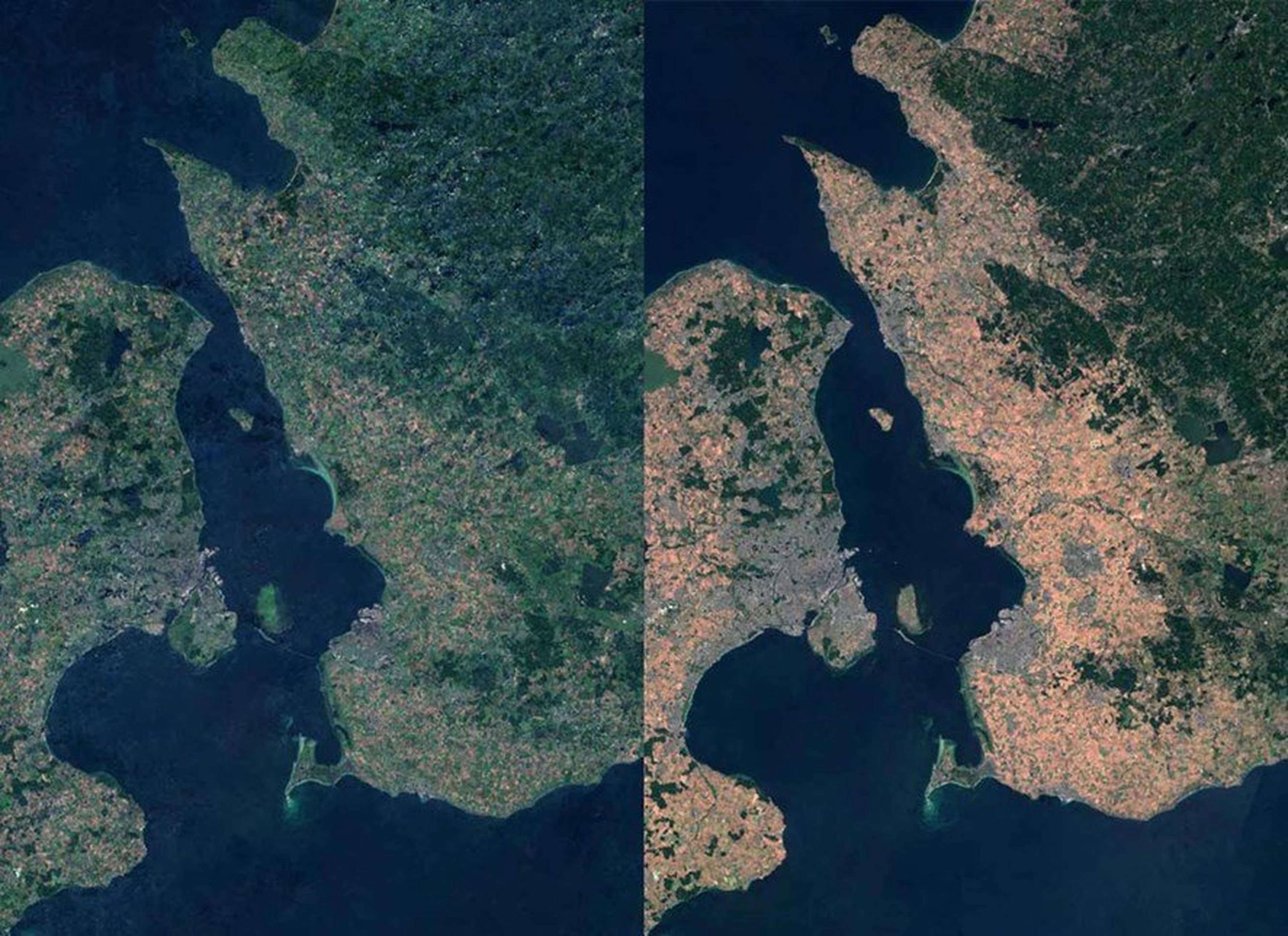 Las fotos del satélite de Skåne muestran las consecuencias dramáticas del clima de este verano.