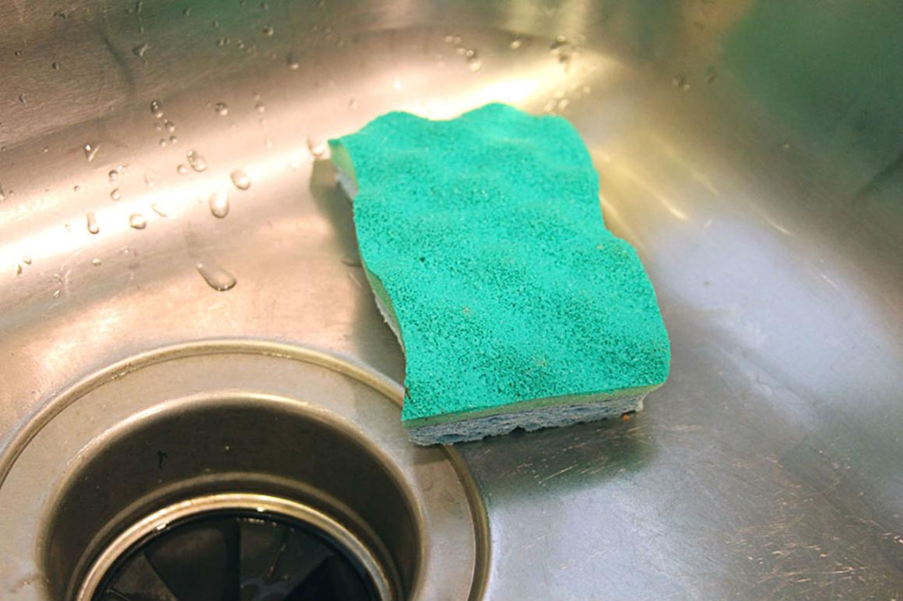 Your sponge is one of the grossest things you own. Microbiologists say you should replace it once a week.