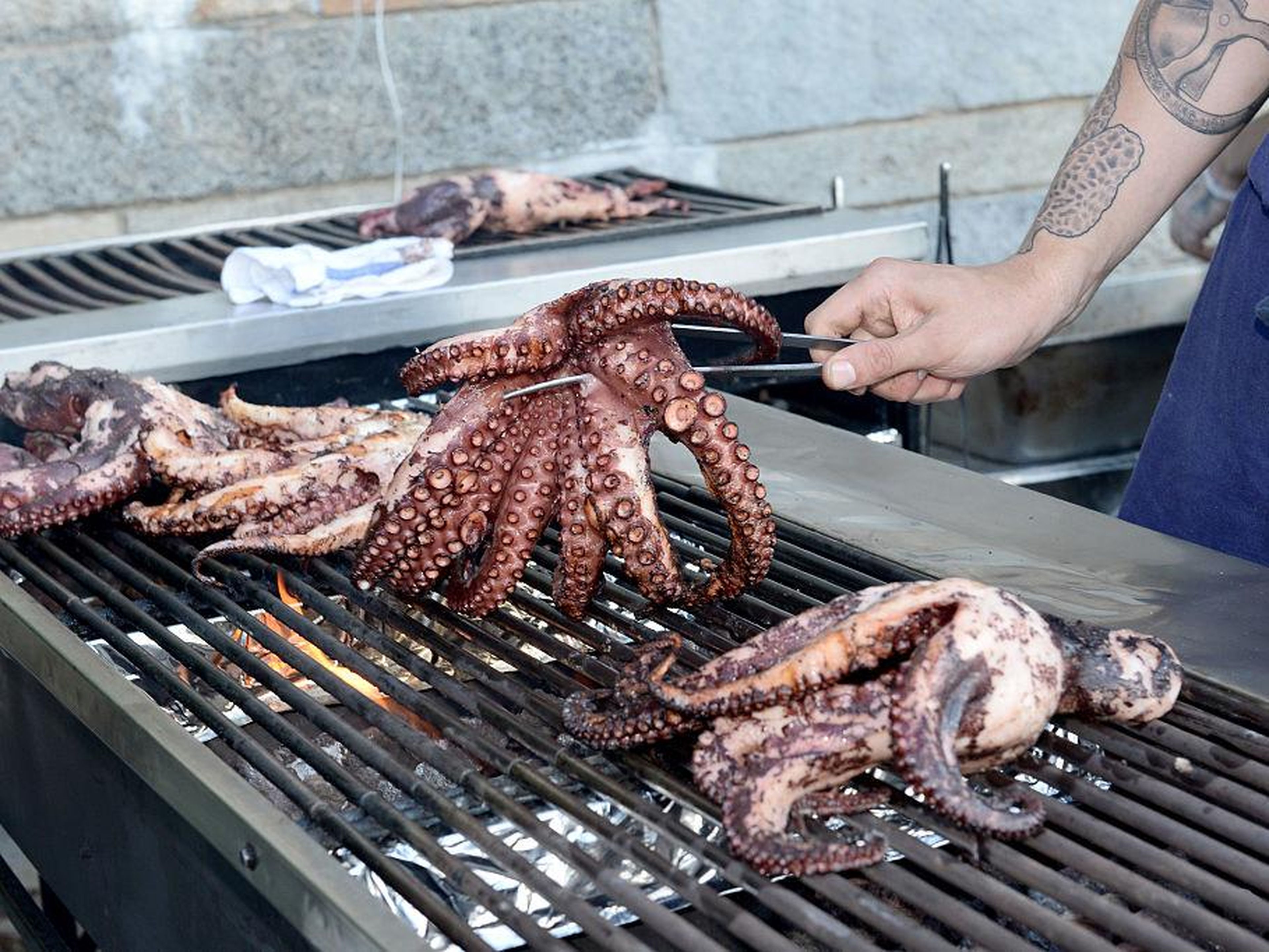 Grilled octopus.