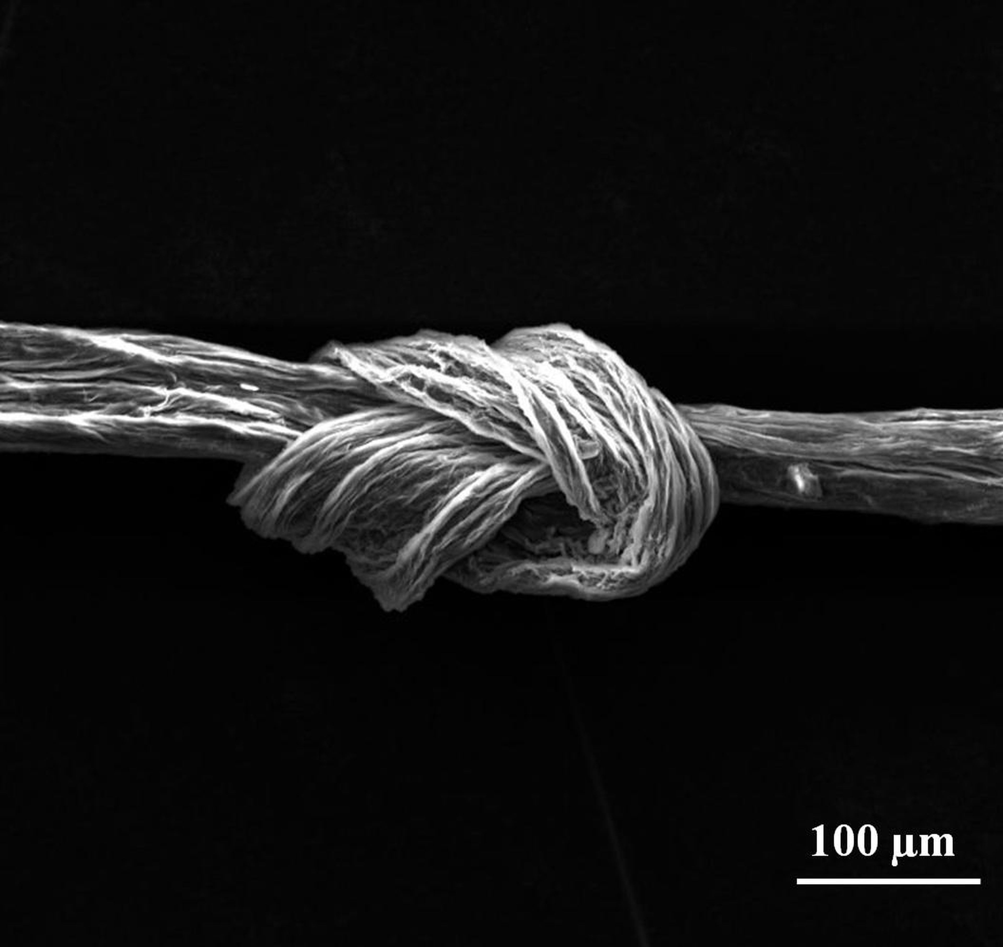 Una hebra de fibra de carbono atada en un nudo.