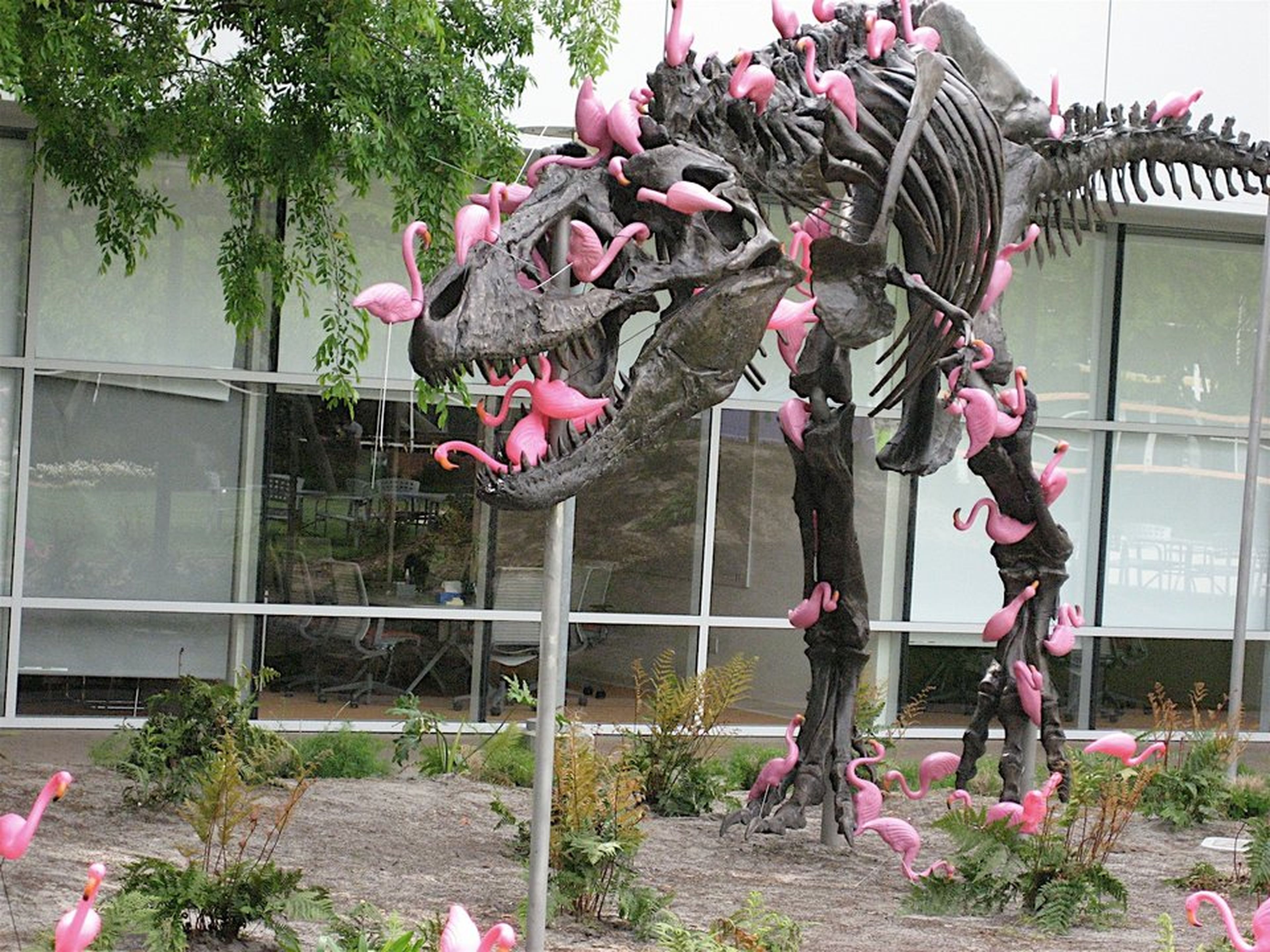 Dinosaurio lleno de flamencos