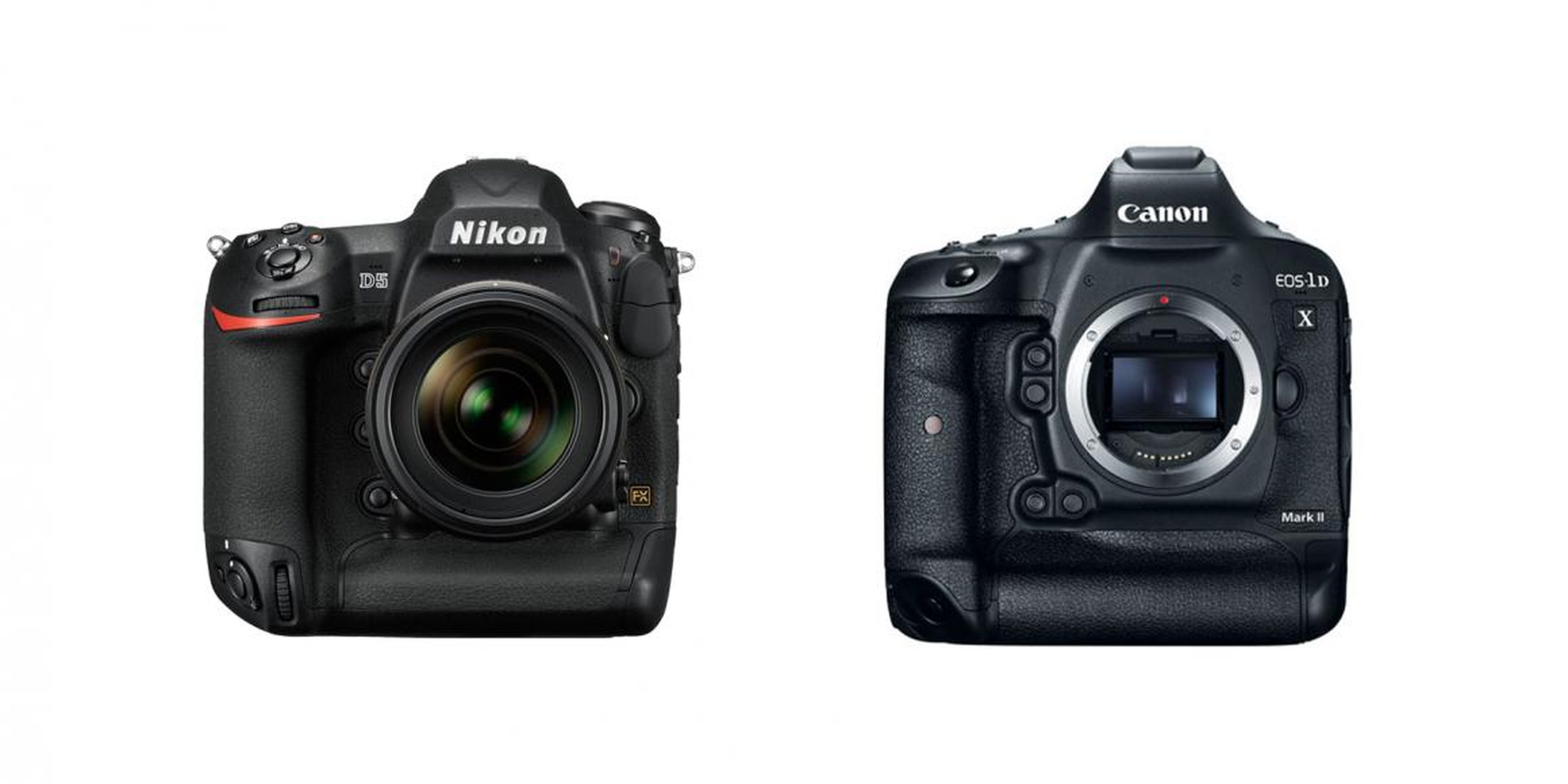 Ordenado jugo Inodoro Nikon vs Canon: cómo elegir cámara de fotos | Business Insider España