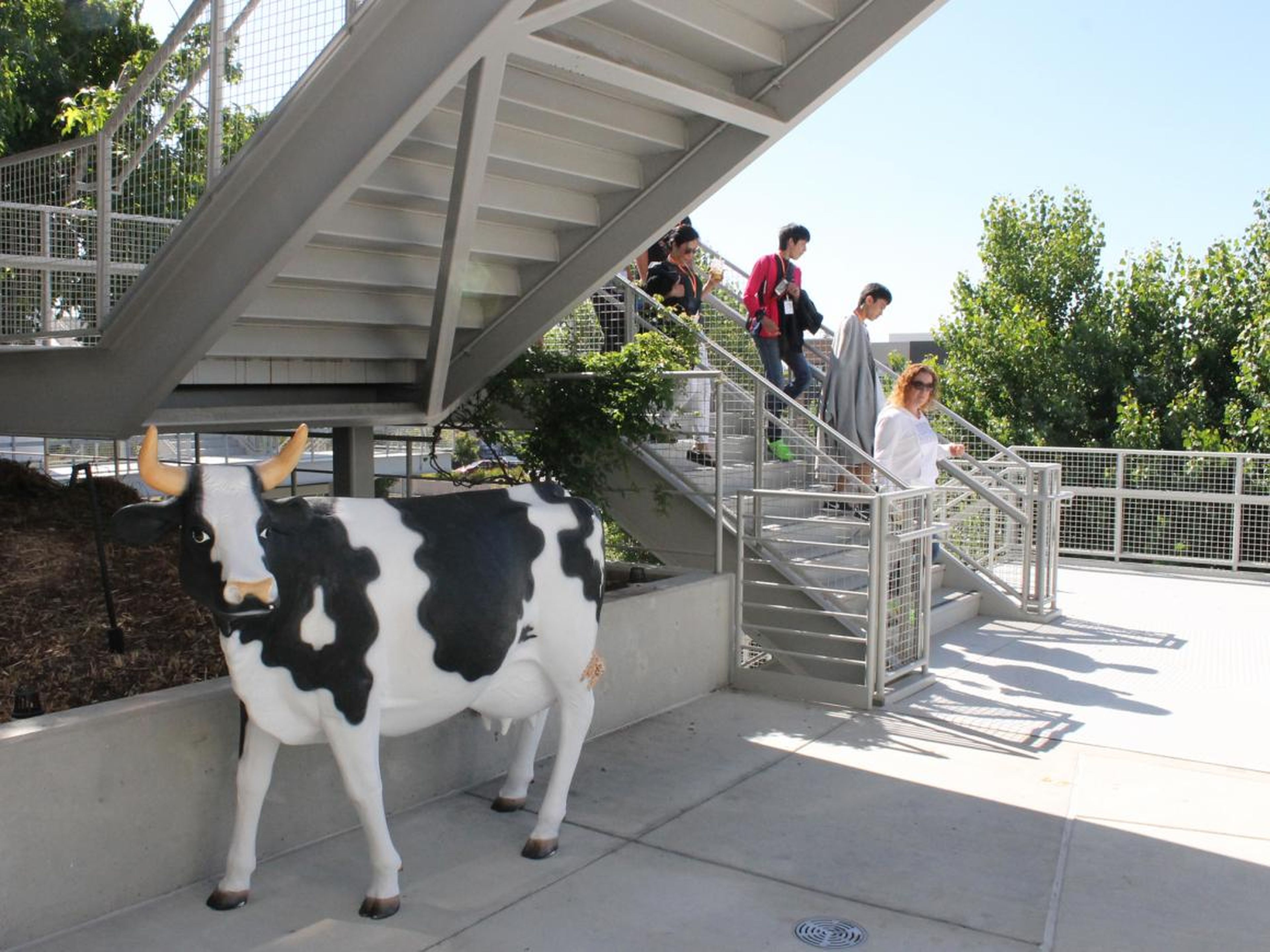 Just a cow, by a staircase.