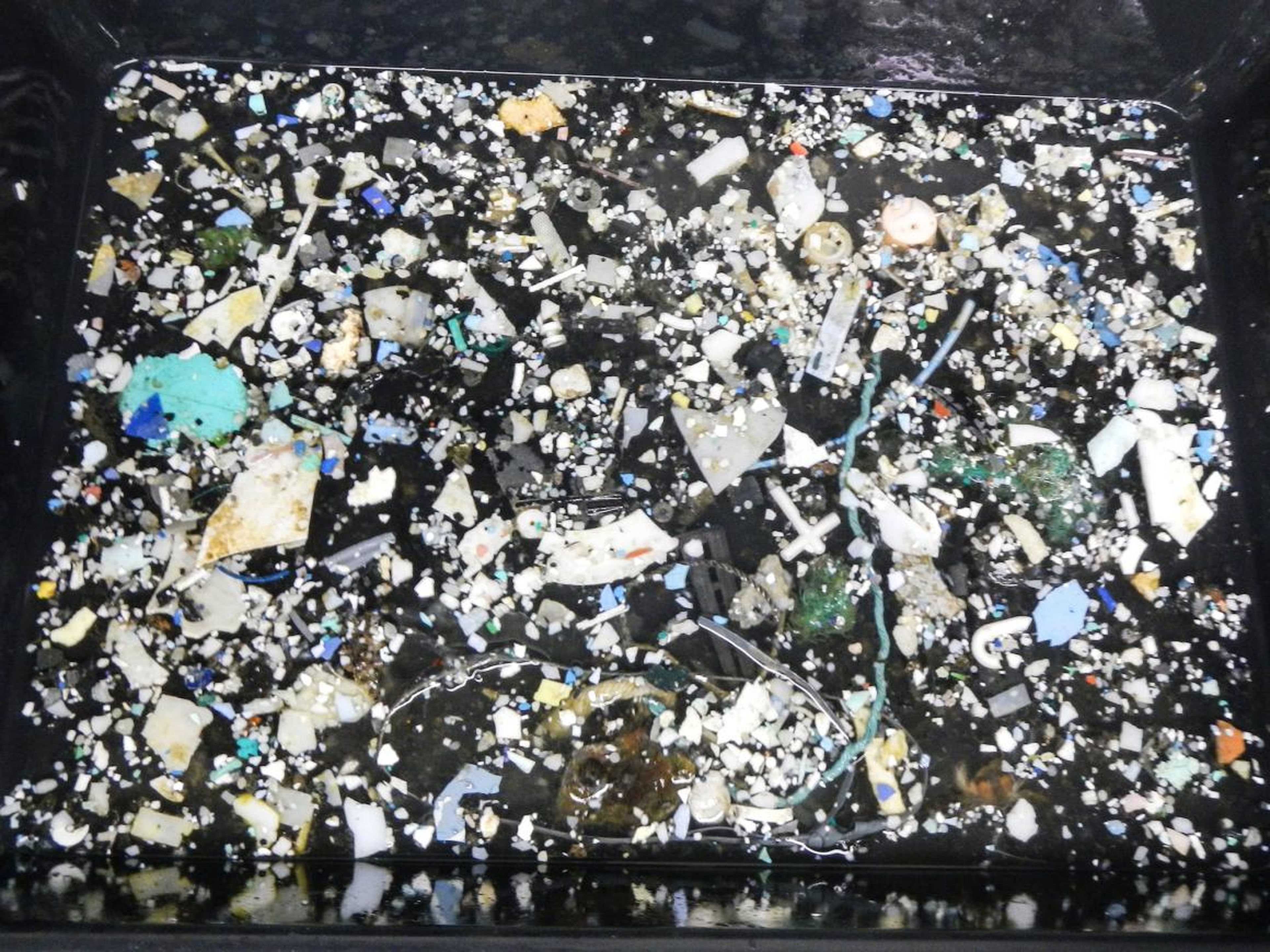 Some of the plastic the Ocean Cleanup team found while surveying the Great Pacific Garbage Patch.