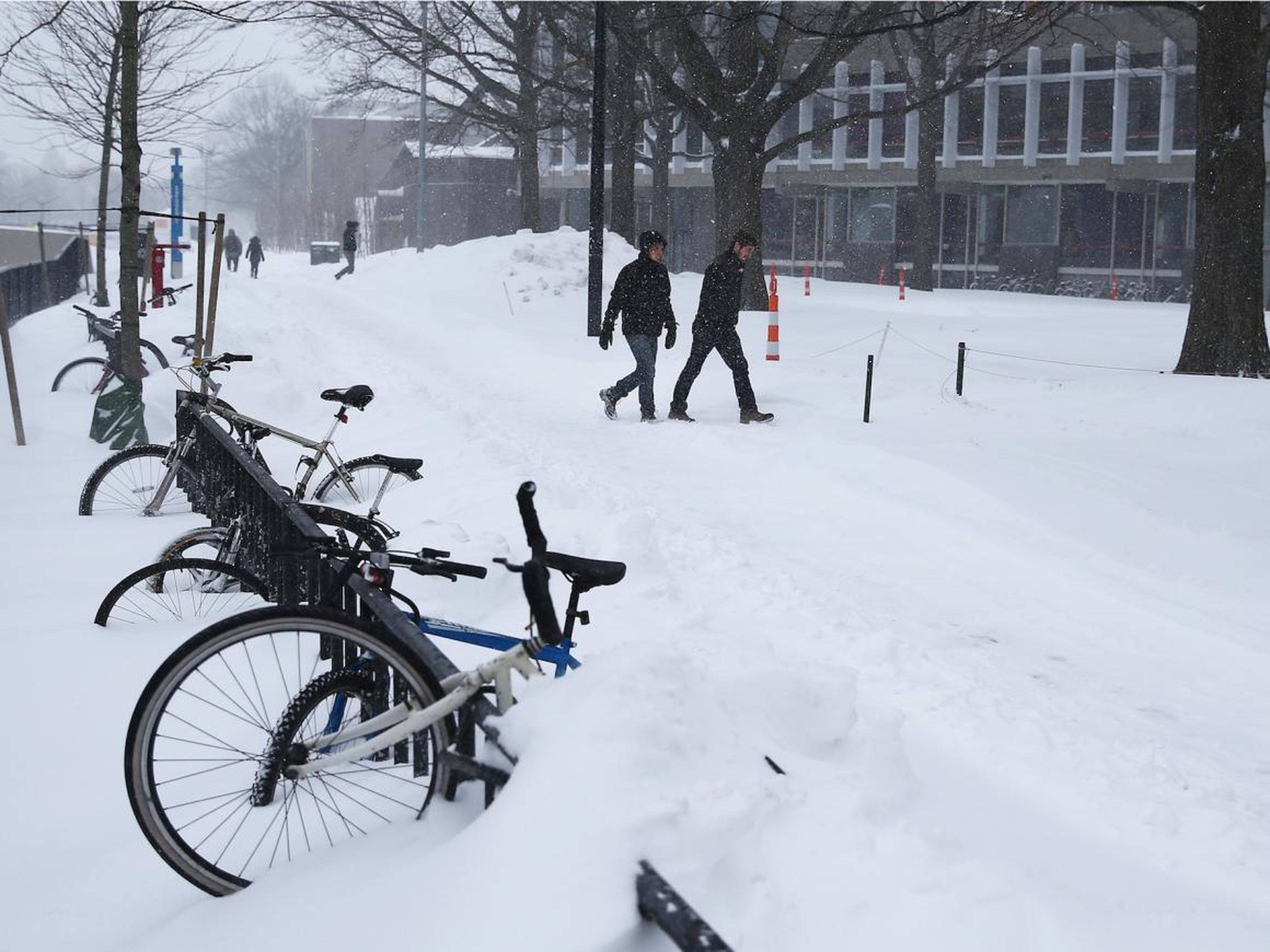 Cambridge sees about 52 inches of snowfall a year.