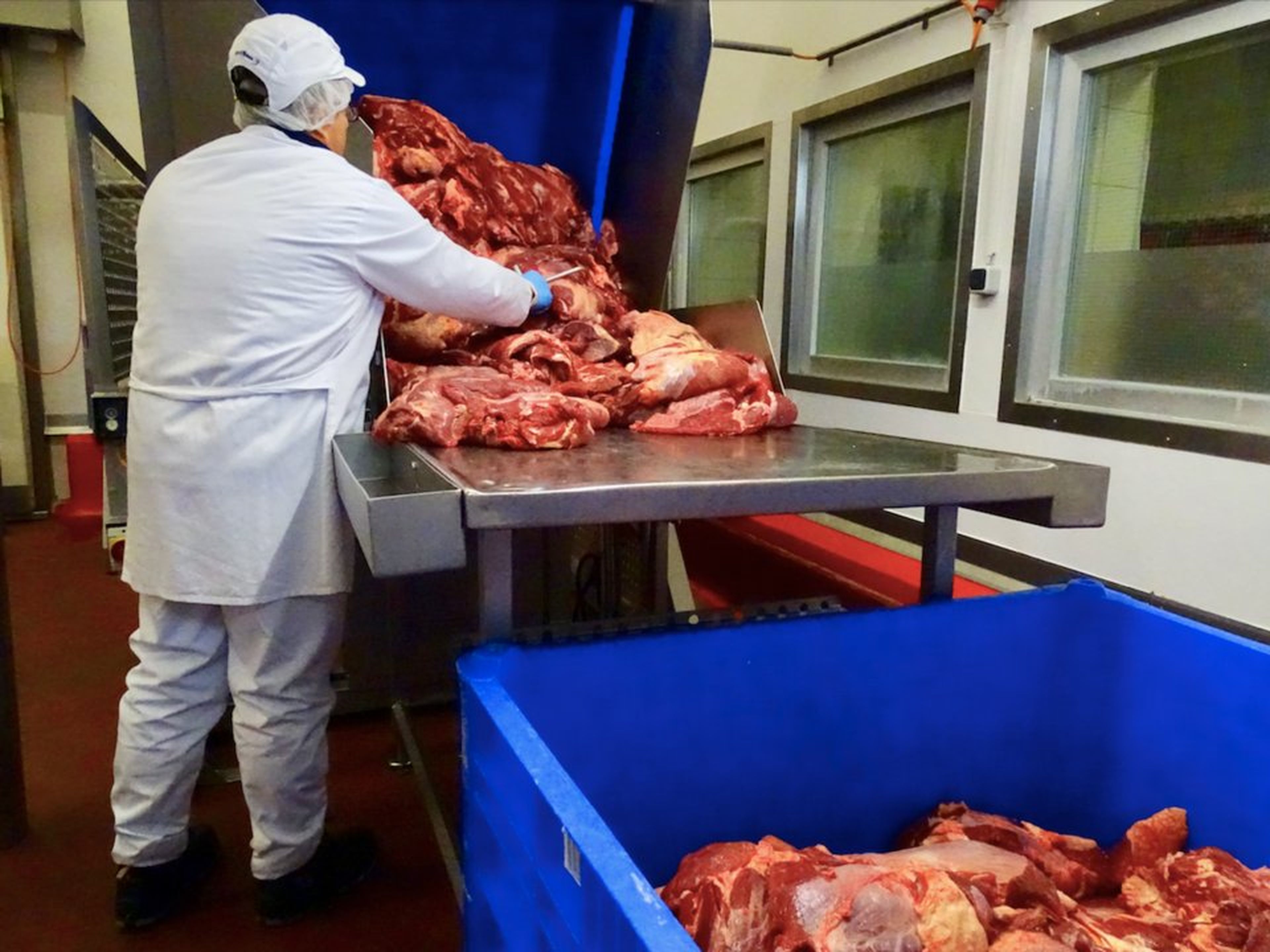 Lo primero que ves al entrar en la fábrica es cómo se supervisa toda la carne que entra.