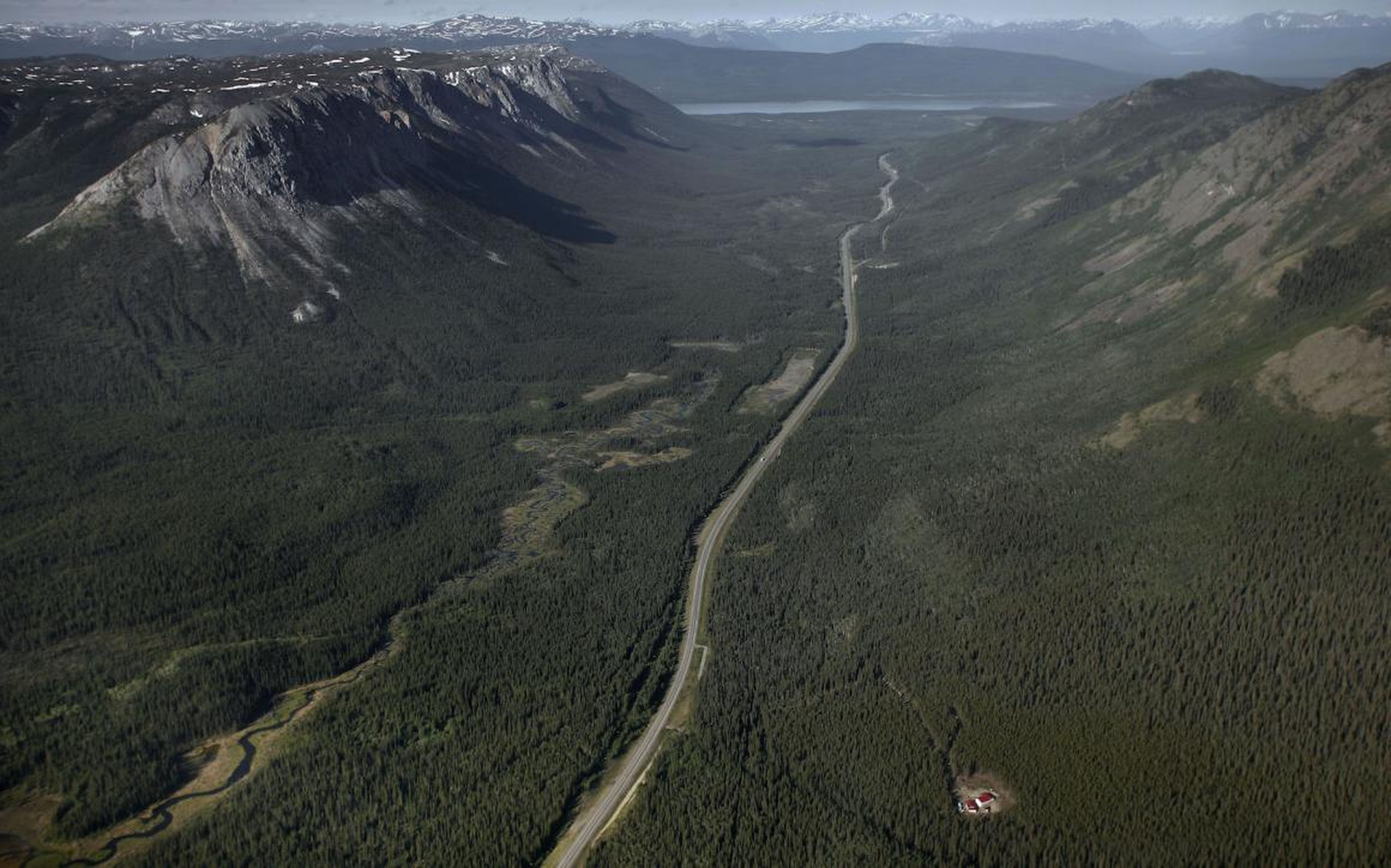 Canada's boreal forest runs north towards Whitehorse, Yukon.