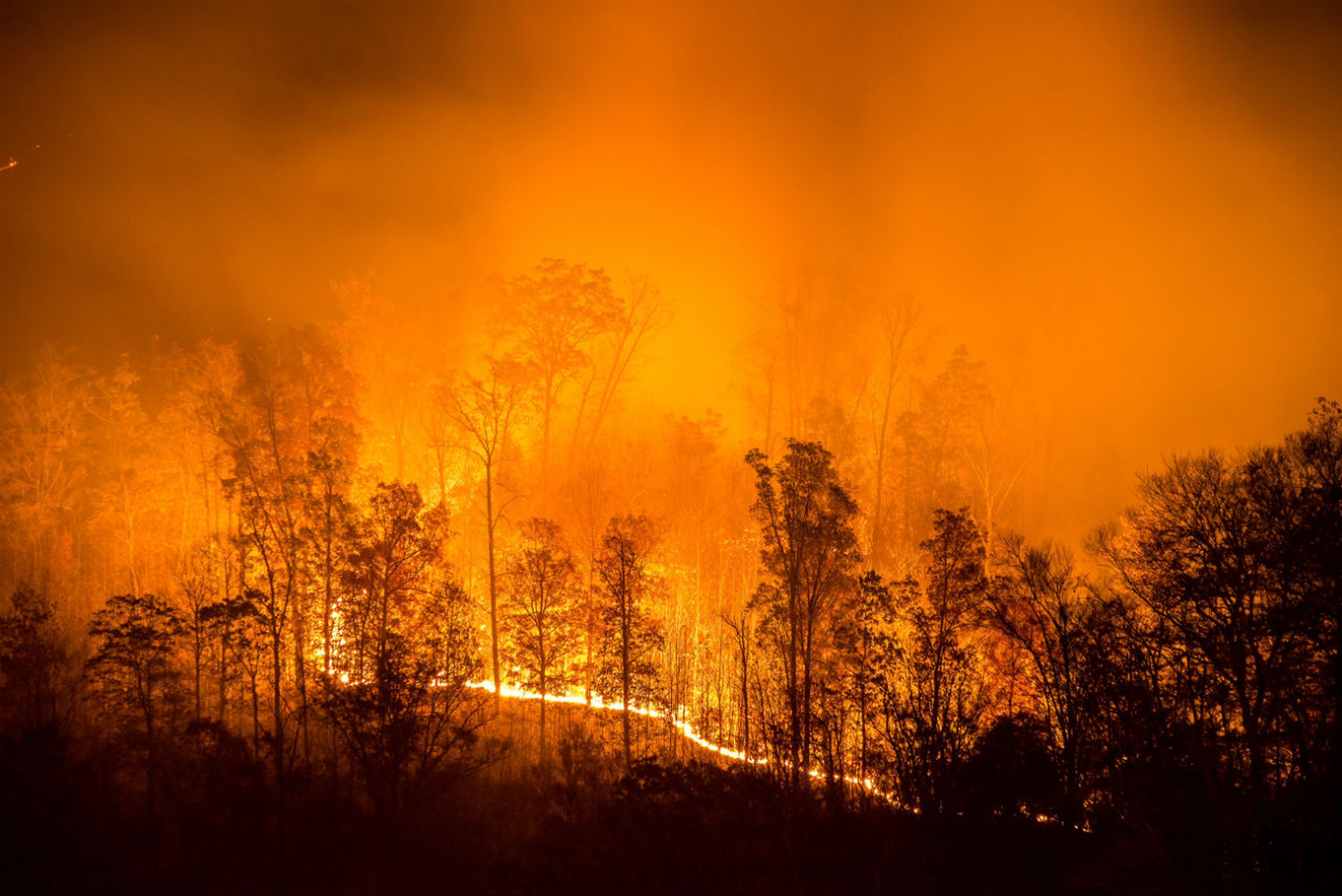 El fuego se extiende en un incendio forestal