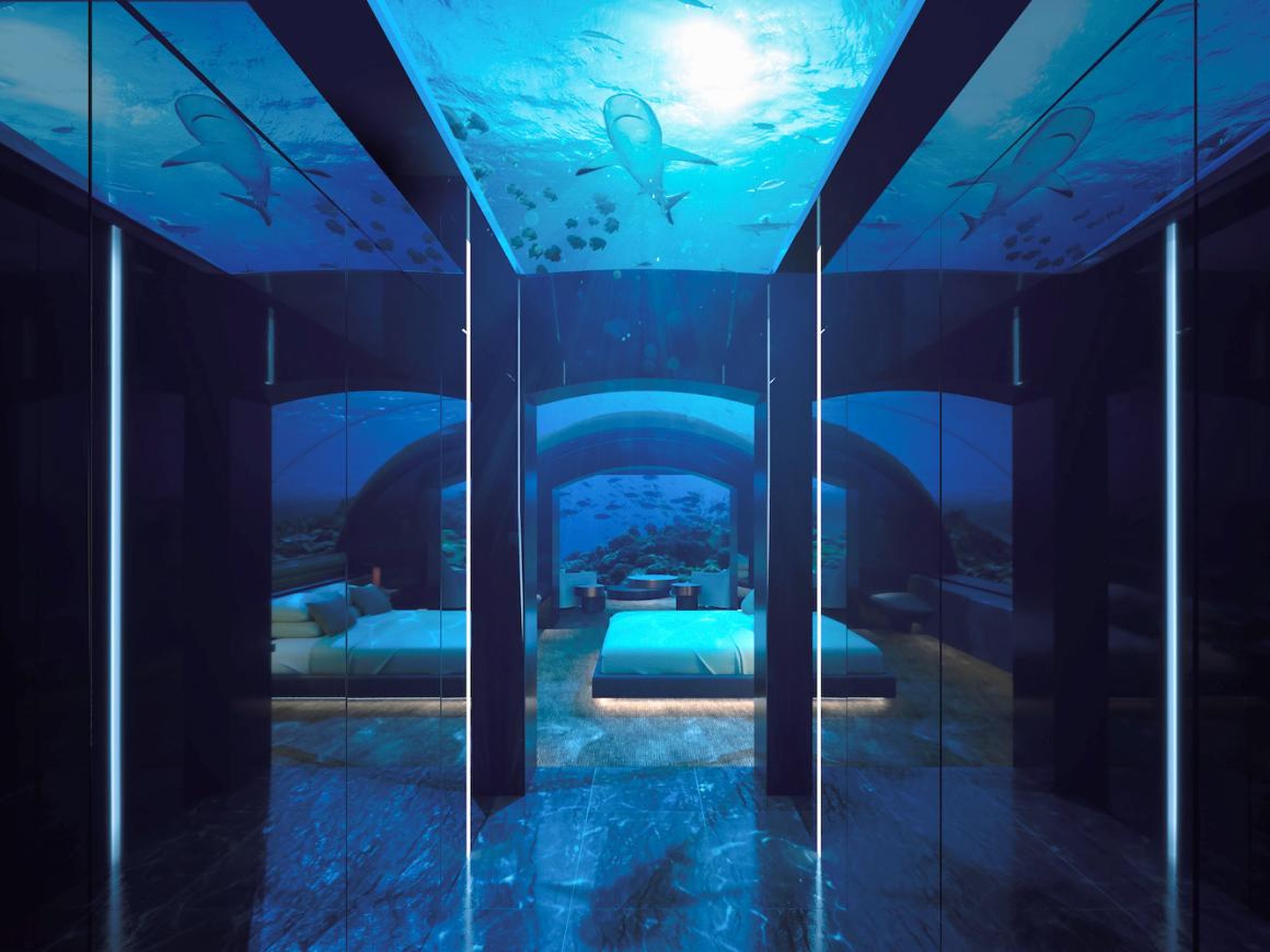 Guests can make their way down below the waves via a spiral staircase or elevator. A domed ceiling and expansive windows offer panoramic views of the deep blue.