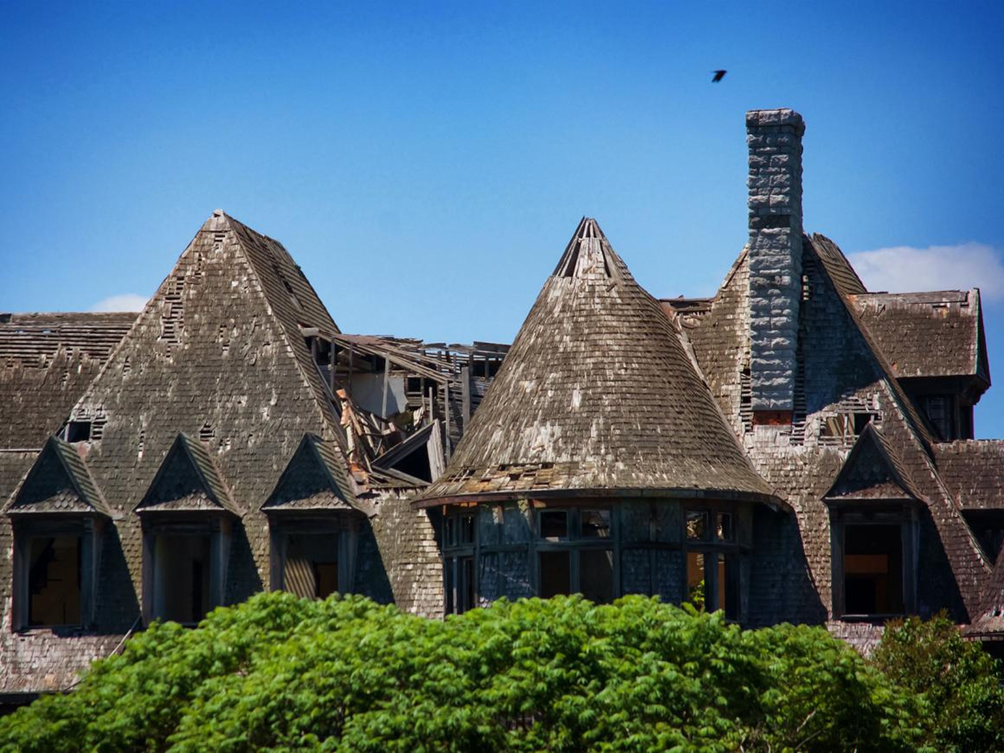 The mansion is now for sale for $495,000 — but whoever buys it will certainly need to spend much more than that on repairs and restoration.