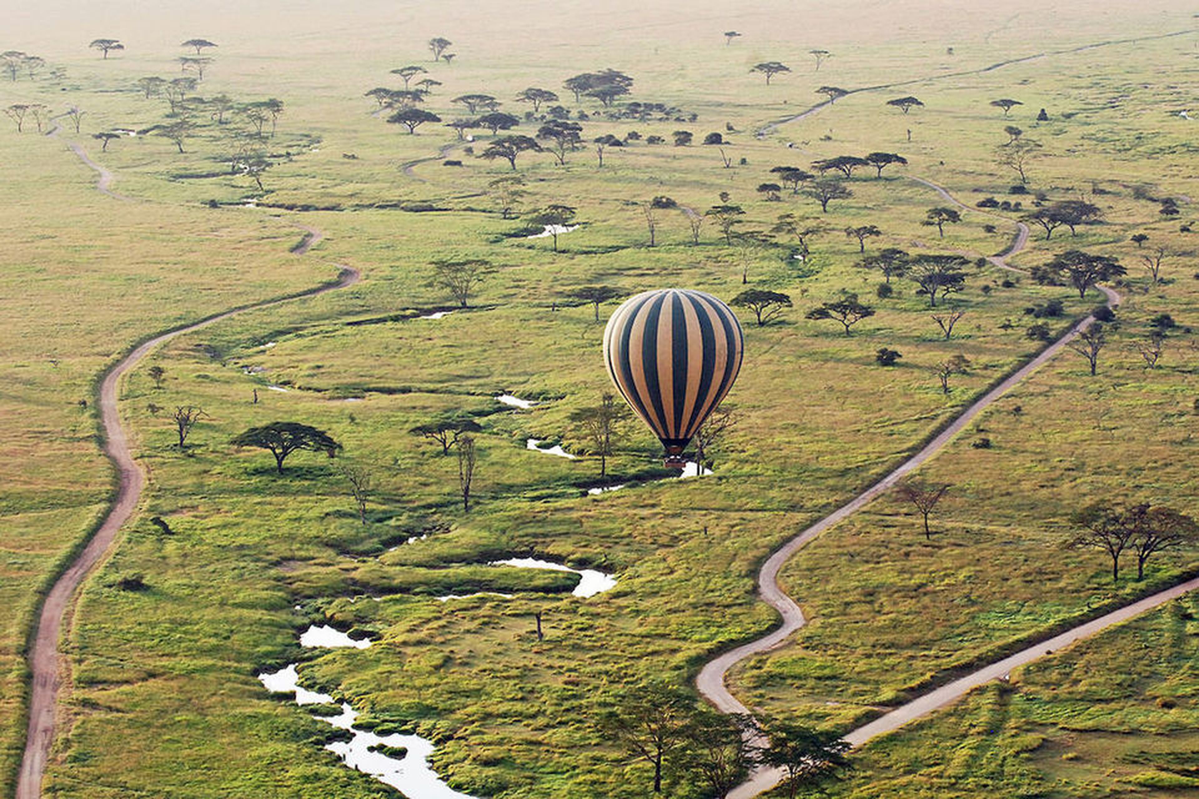 Viaja en globo por Tanzania