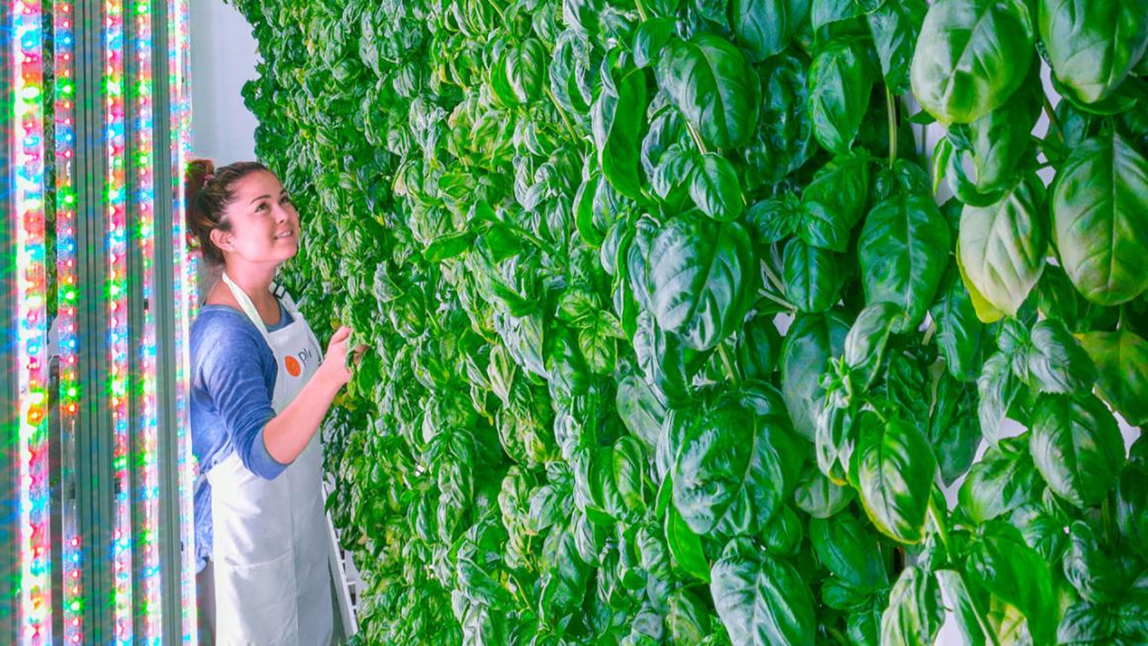 Inside Plenty, a Silicon Valley-based urban farming startup that scored the largest ag-tech investment in history.