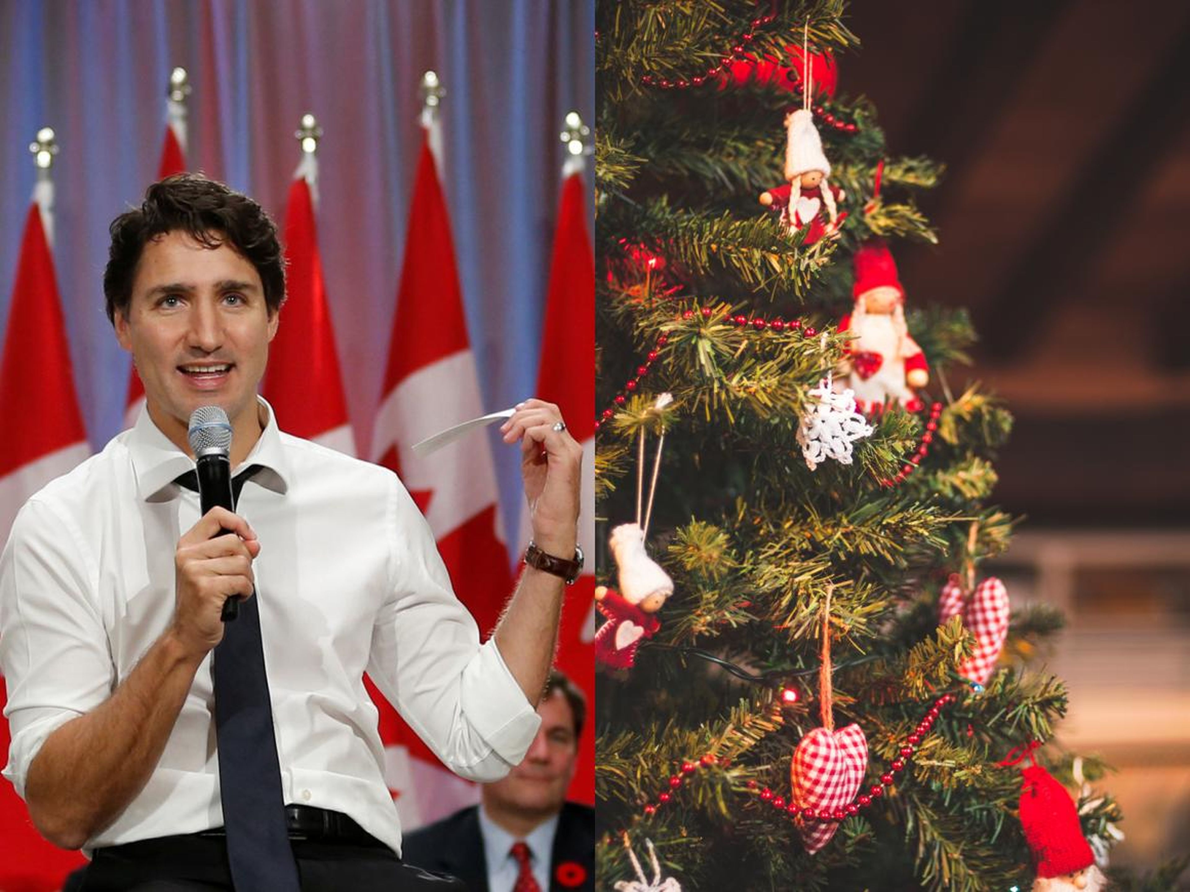 Justin Trudeau and a Christmas tree.