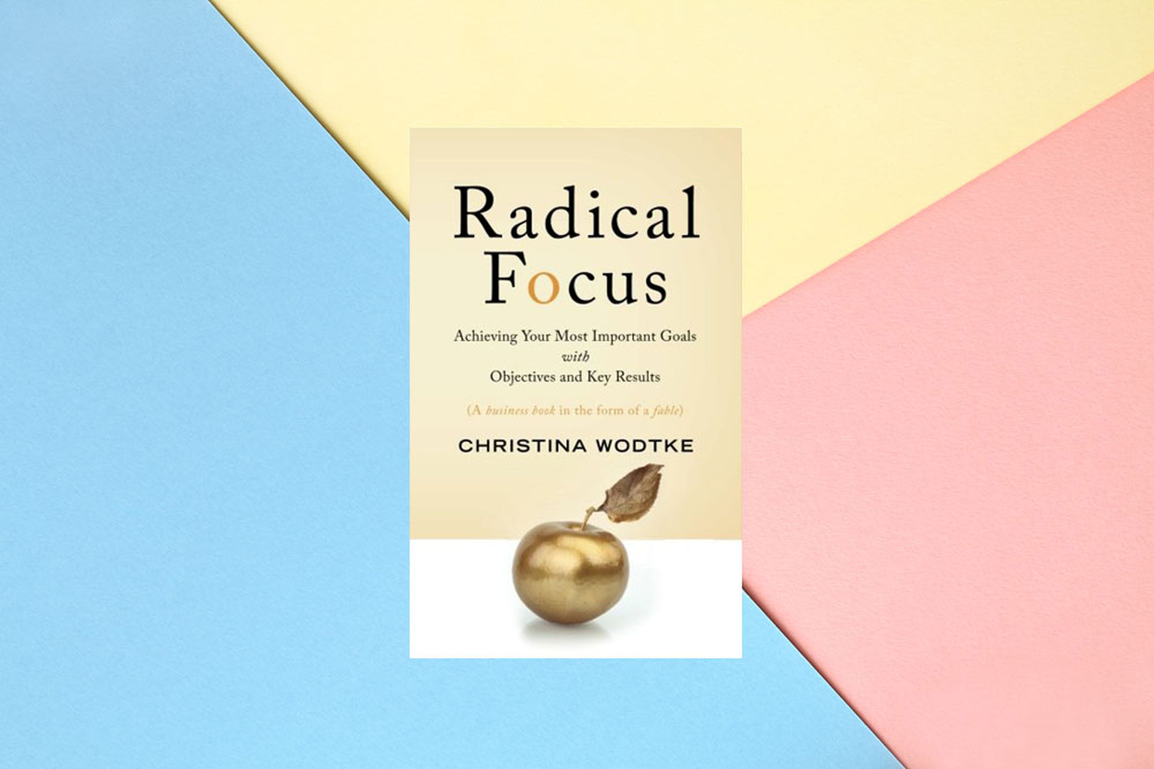 Radical Focus libro