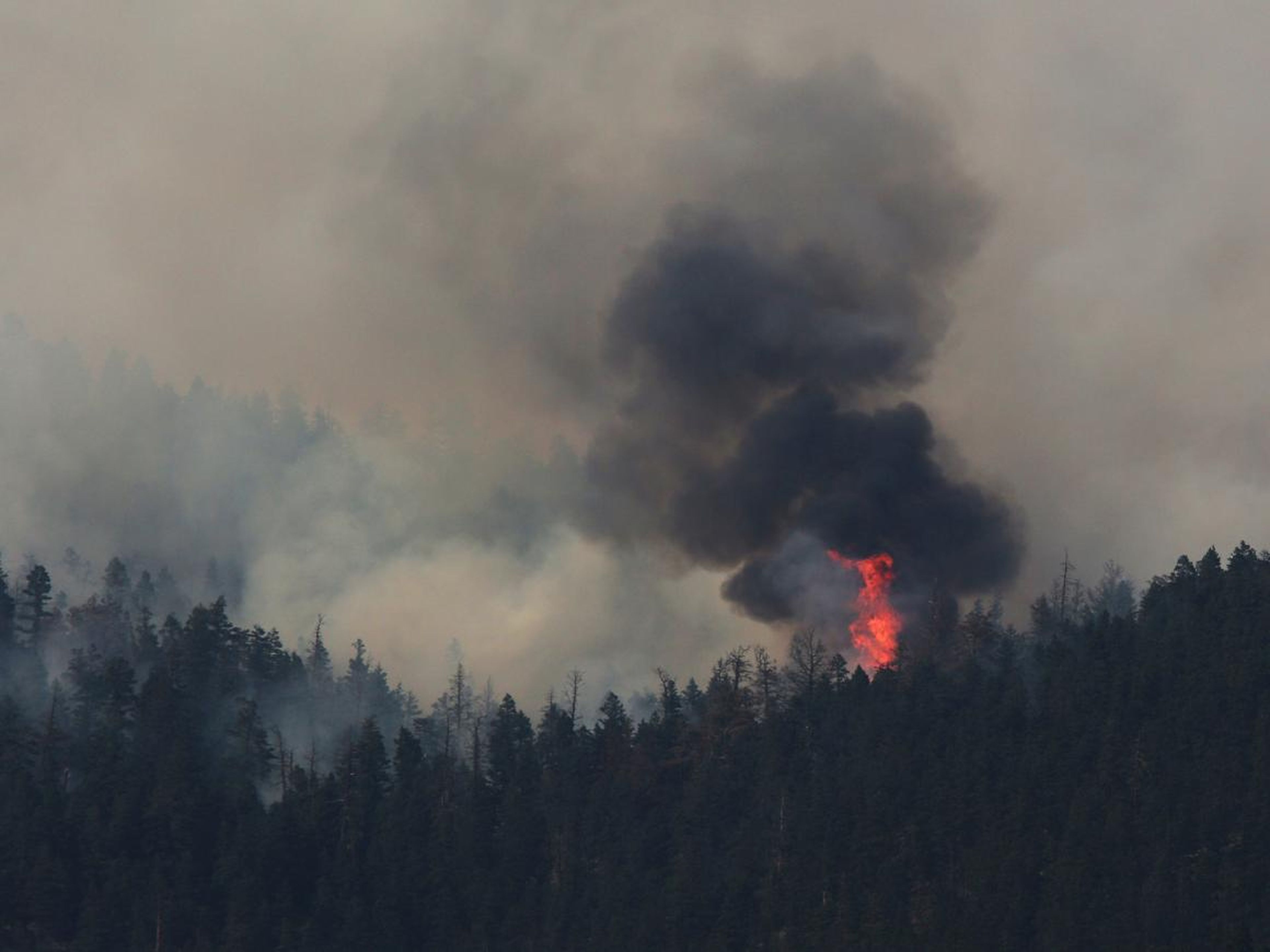 Varios incendios arrasaron la Columbia Británica canadiense.